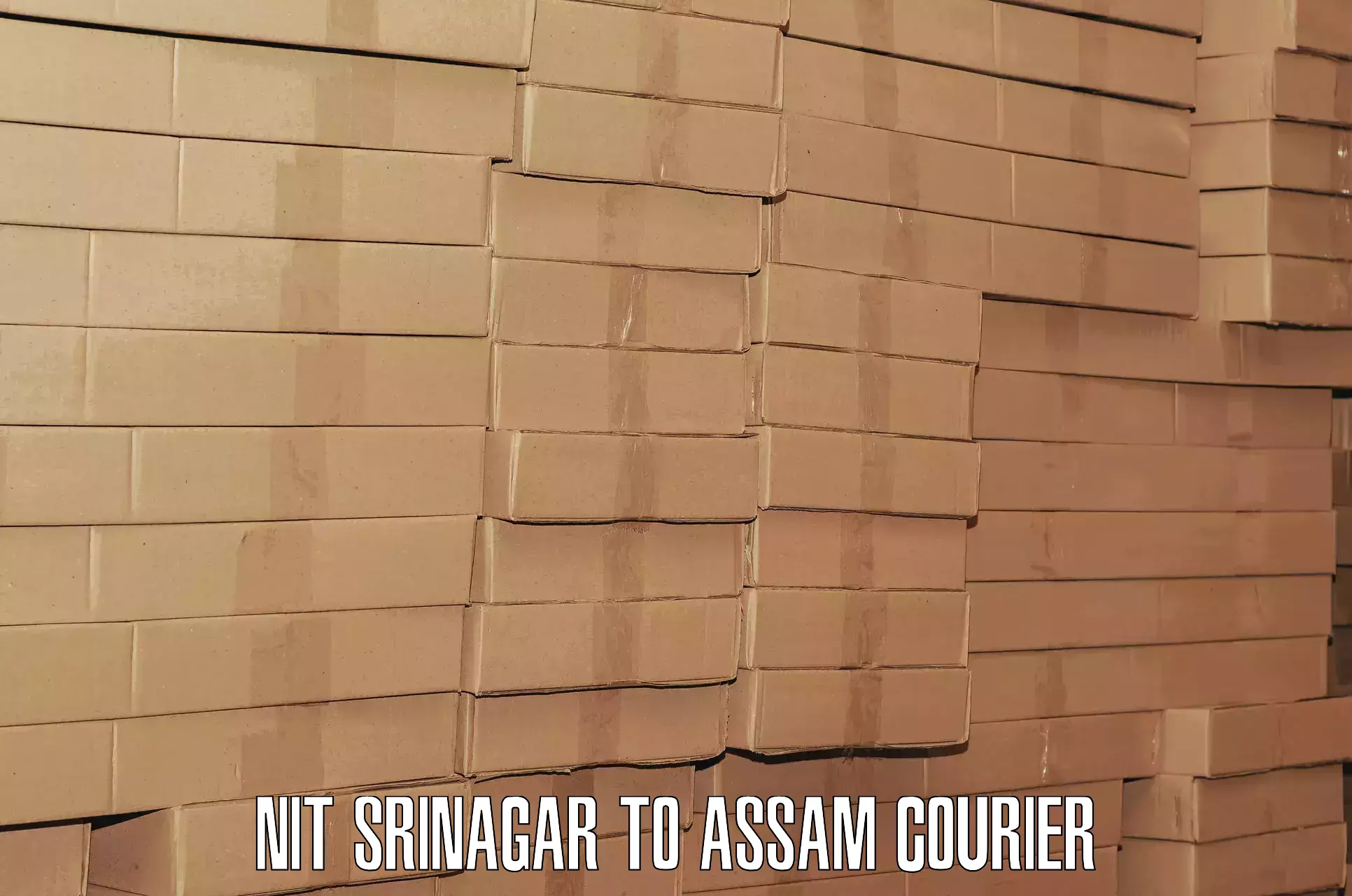 Luggage courier planning NIT Srinagar to Biswanath