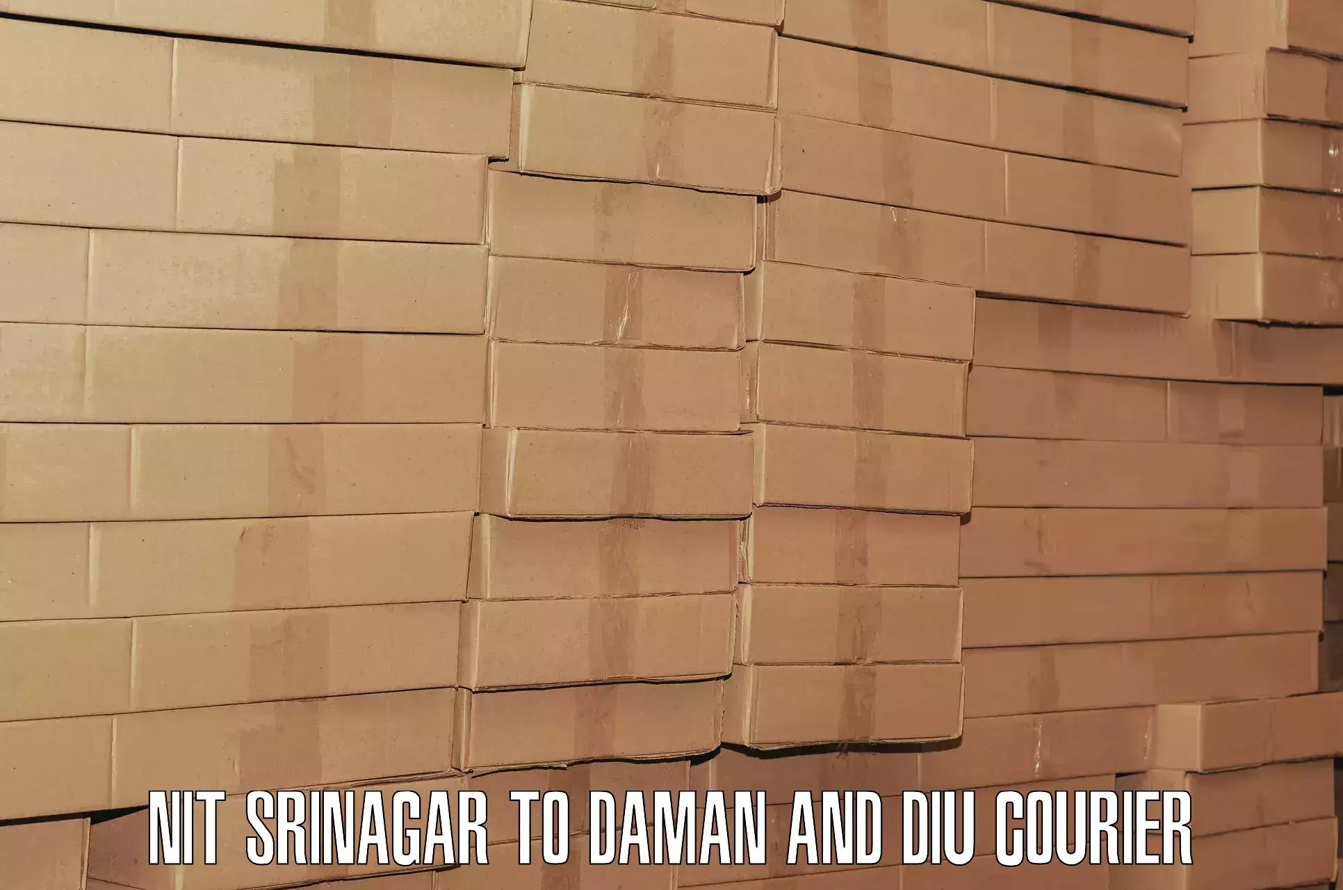 Global baggage shipping NIT Srinagar to Daman and Diu