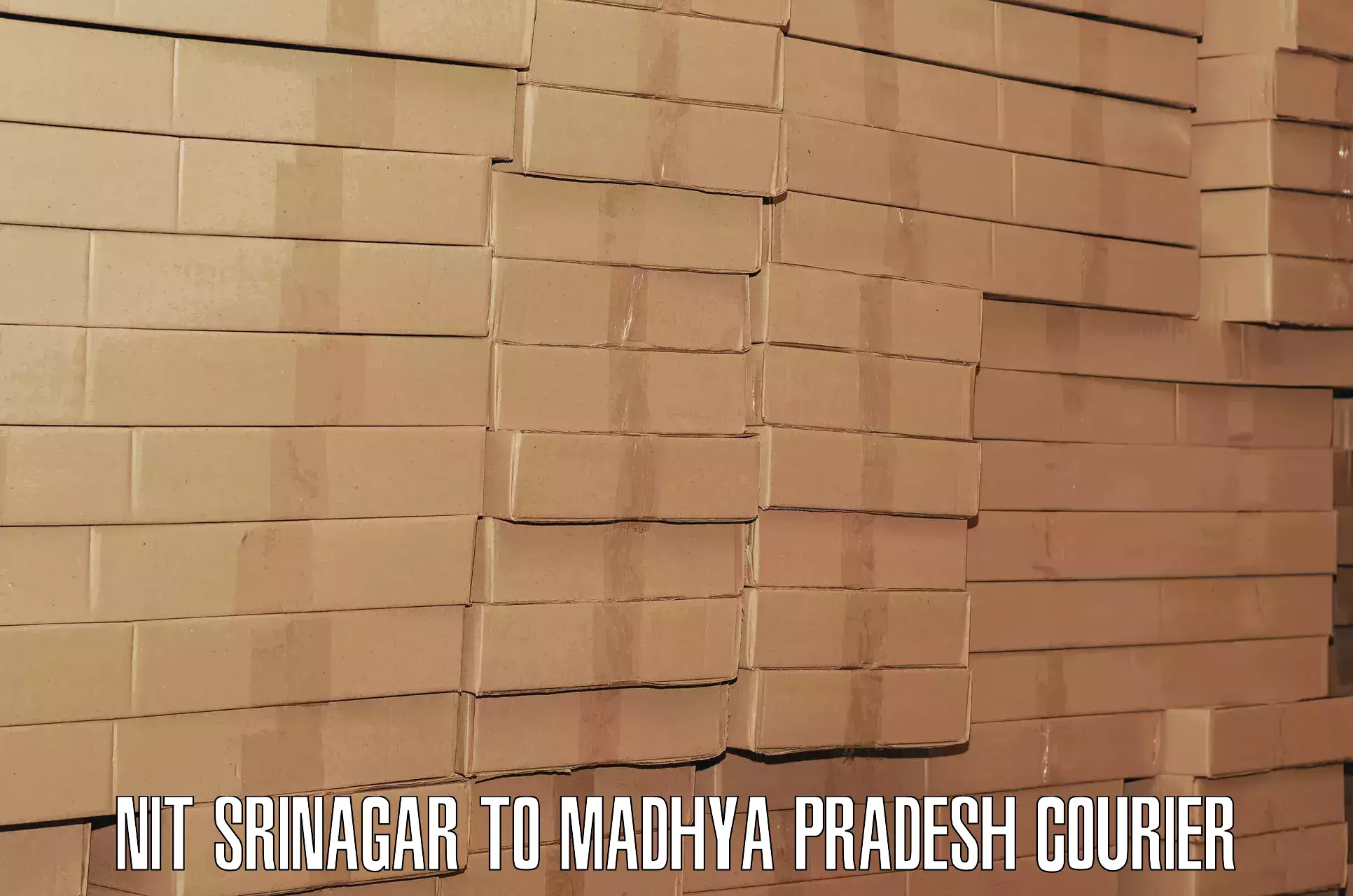 Baggage courier strategy NIT Srinagar to Madhya Pradesh