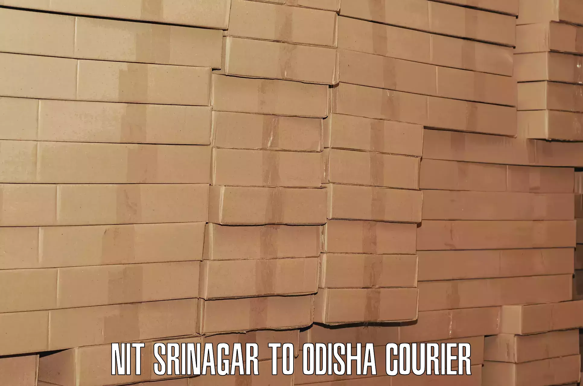 Luggage dispatch service NIT Srinagar to Nayagarh