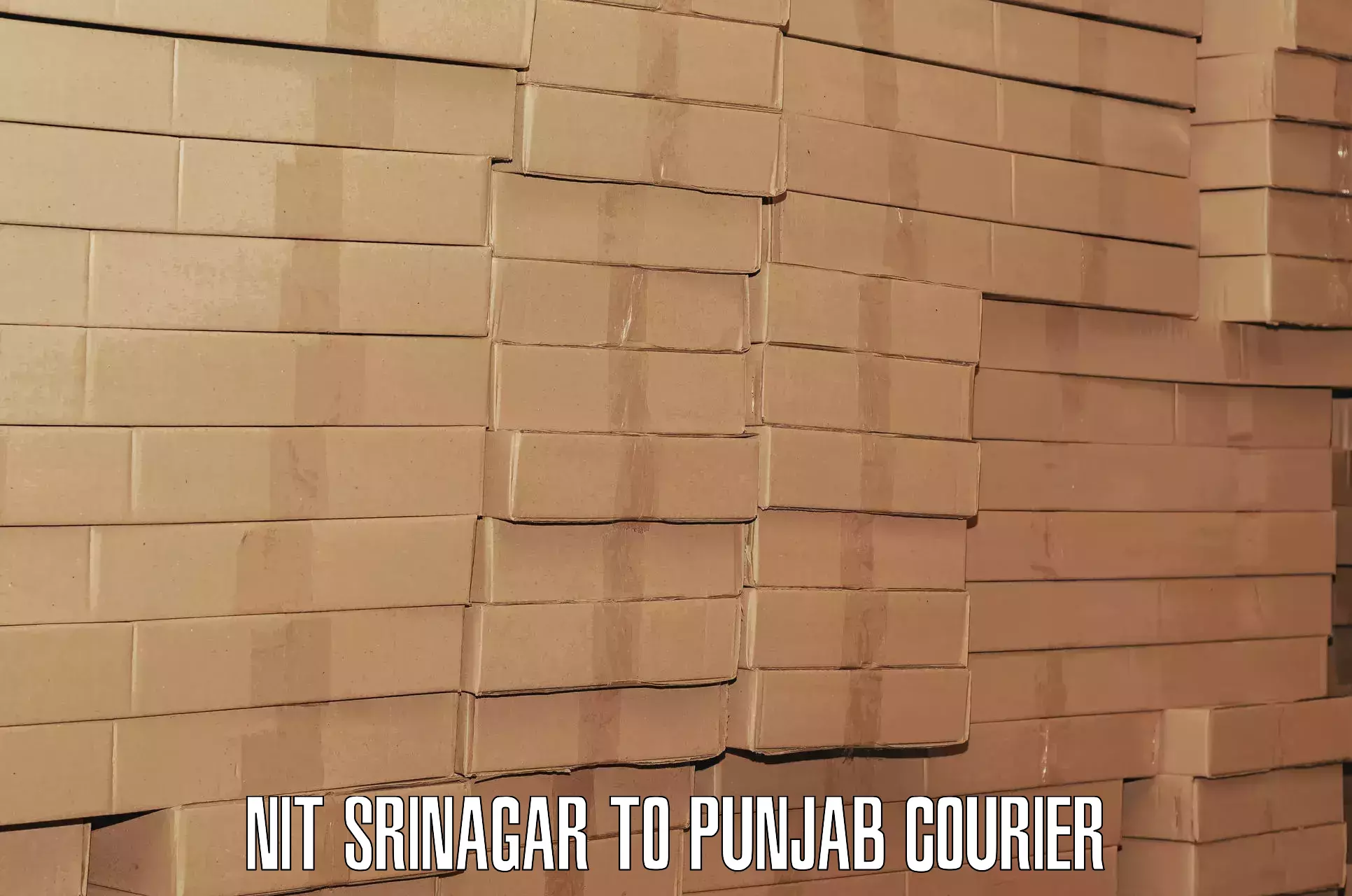 Baggage shipping optimization in NIT Srinagar to Pathankot