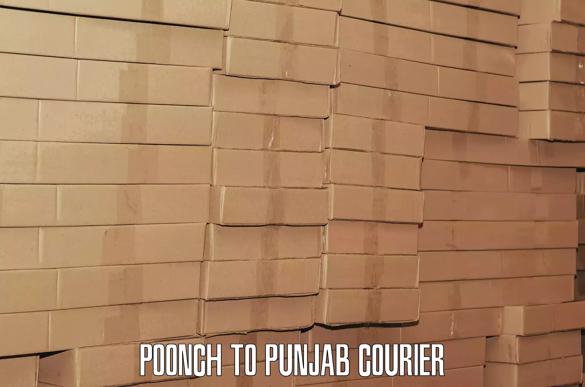Luggage shipping specialists Poonch to Nawanshahr