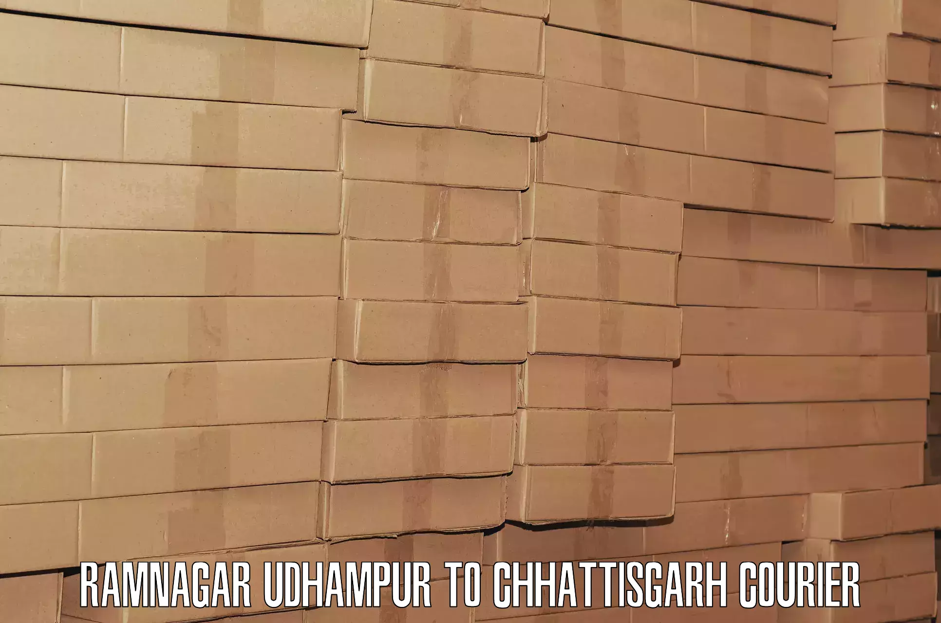 Simplified luggage transport Ramnagar Udhampur to Chhattisgarh