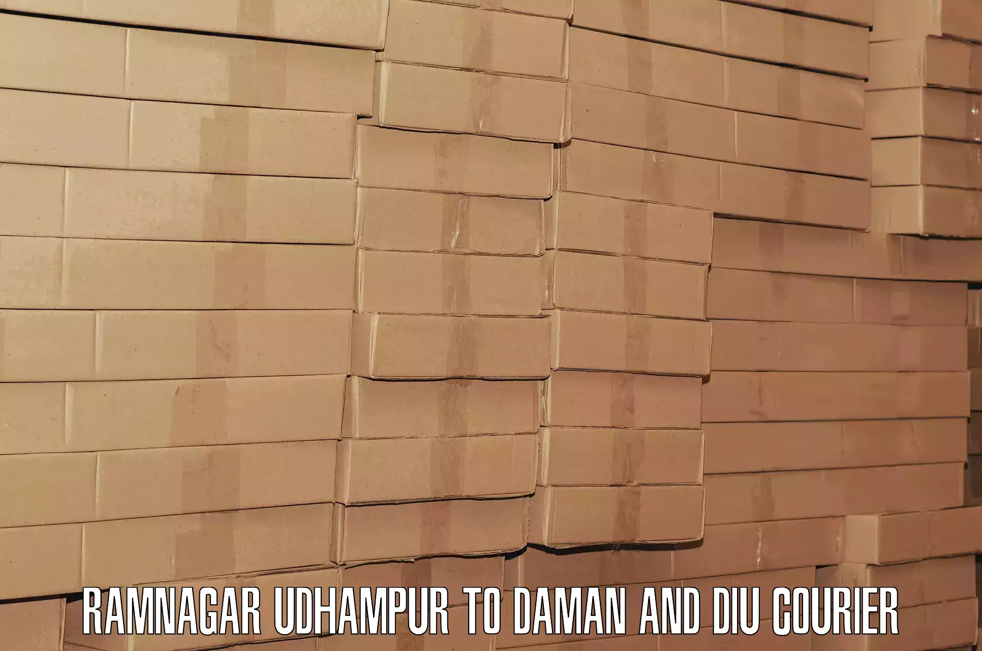 Comprehensive baggage service Ramnagar Udhampur to Daman and Diu