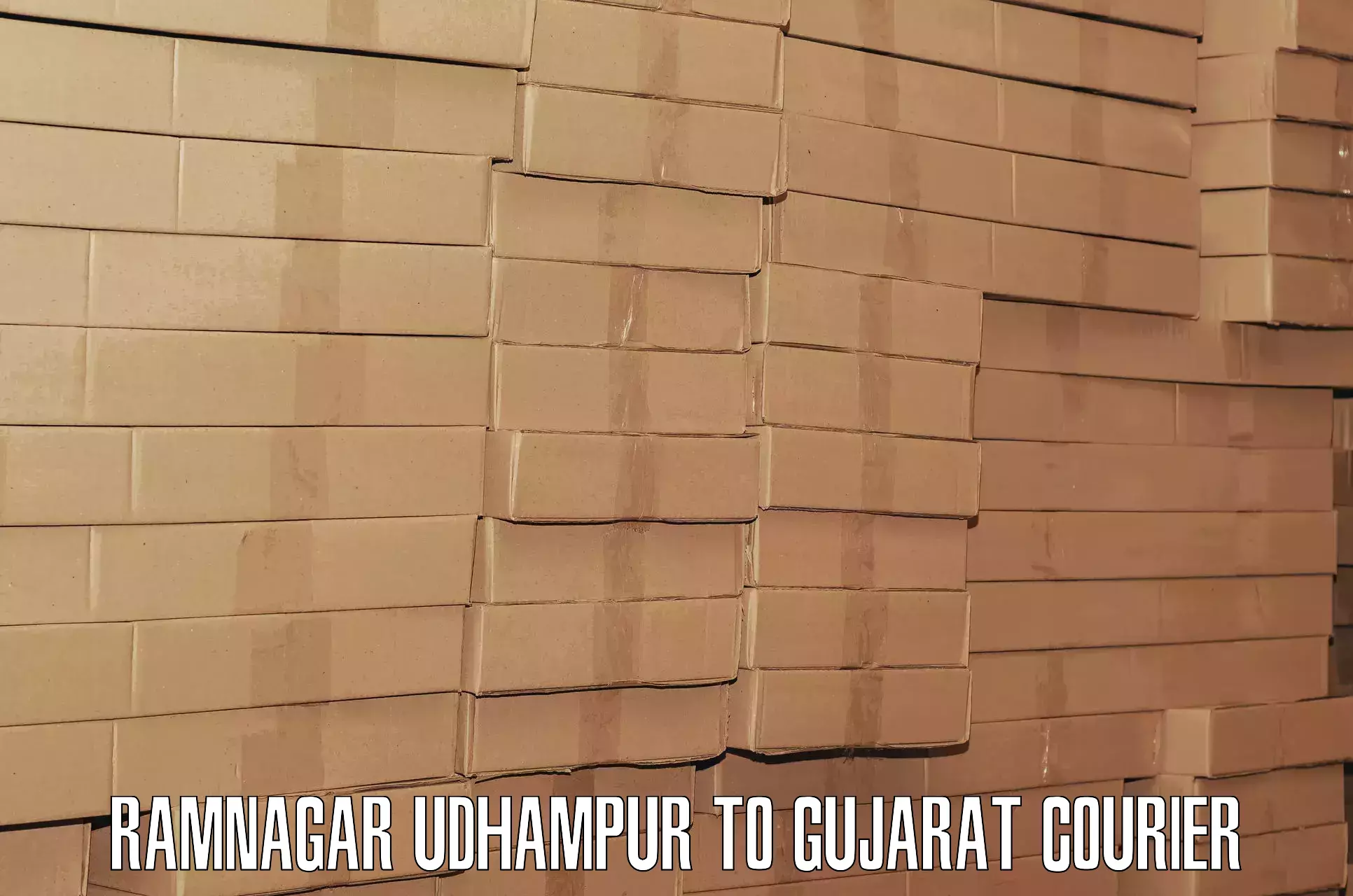 Baggage shipping schedule Ramnagar Udhampur to Rajkot