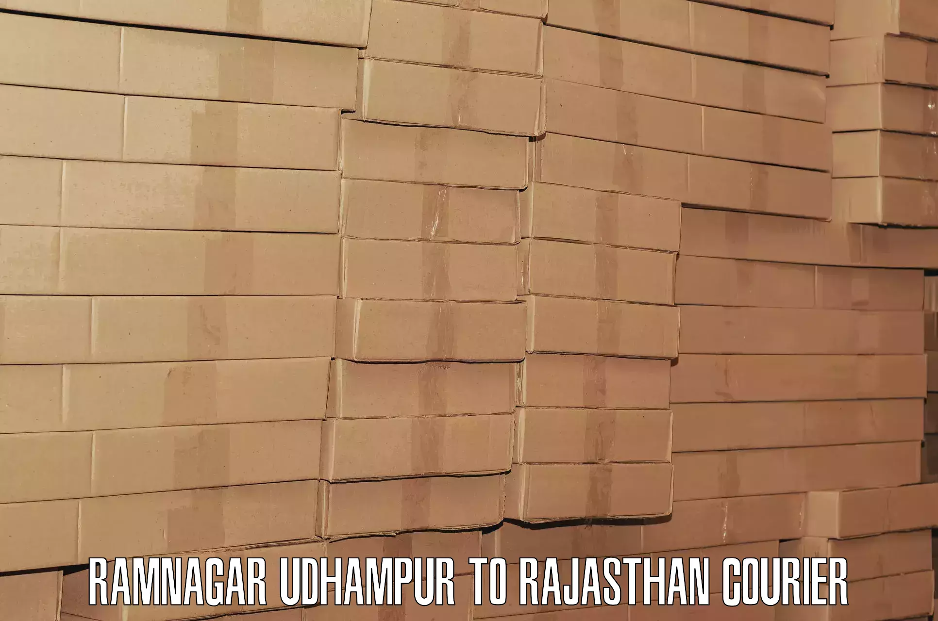 Emergency baggage service Ramnagar Udhampur to Neem ka Thana
