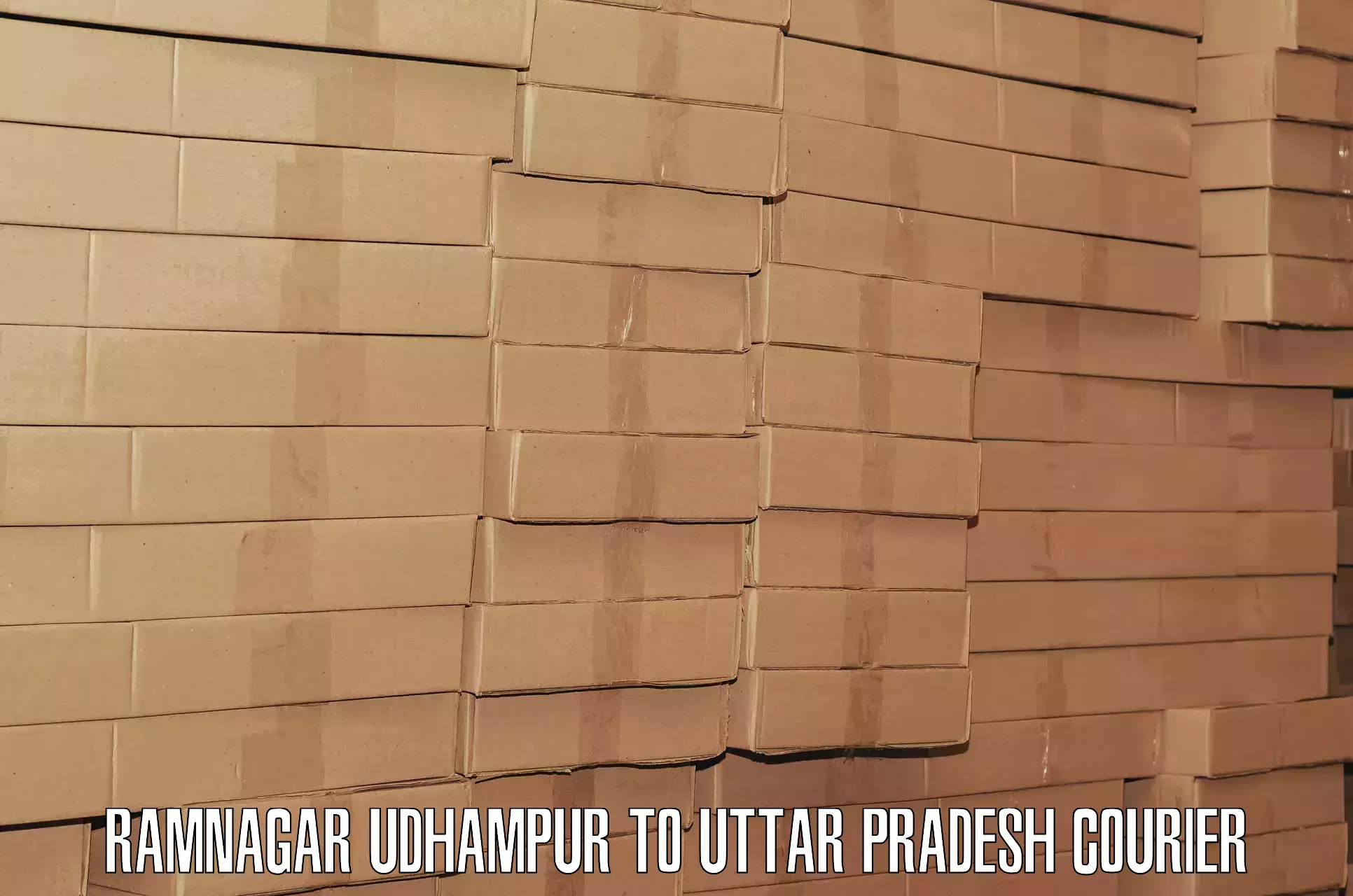 Luggage shipping estimate Ramnagar Udhampur to Ayodhya