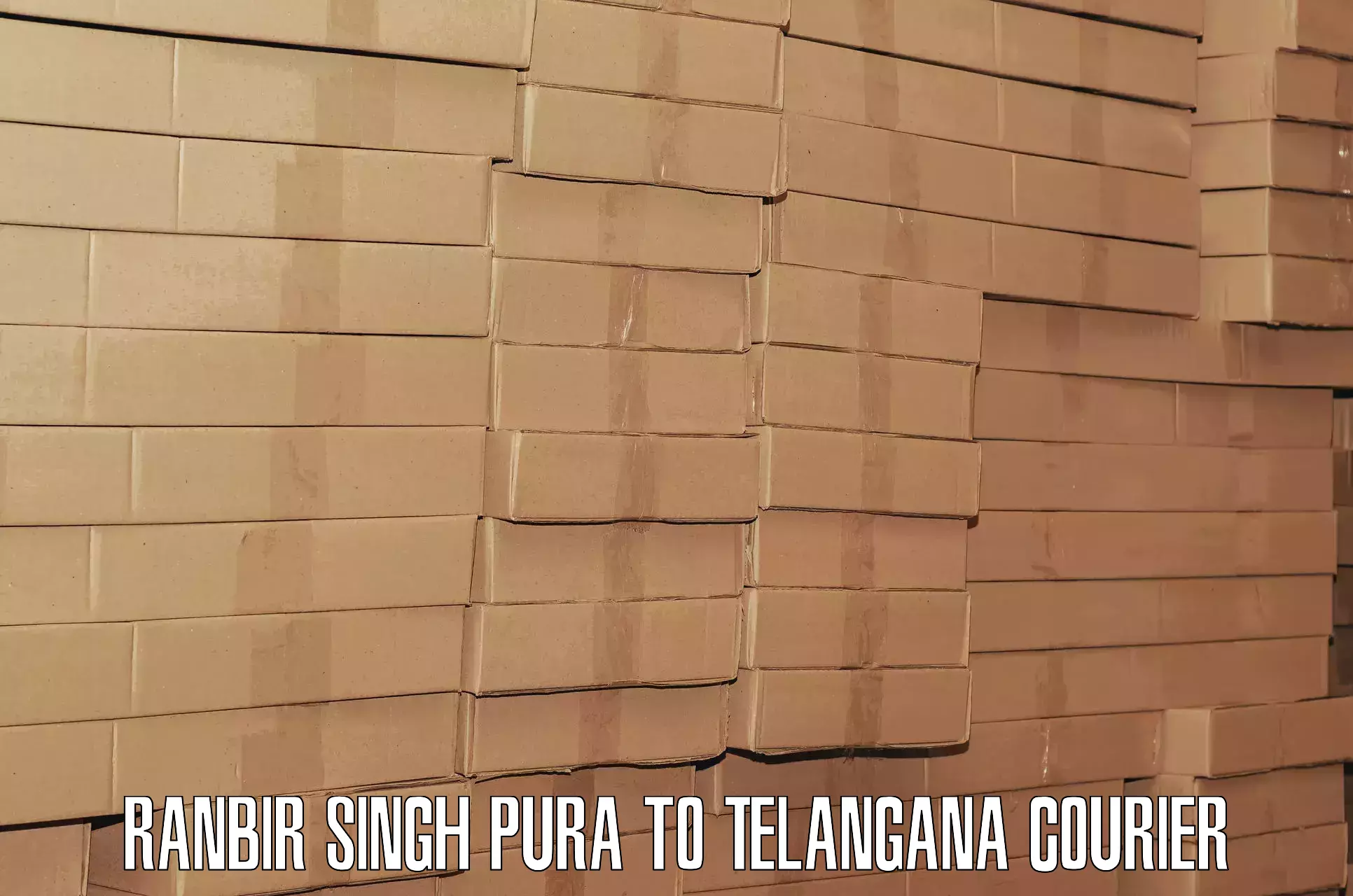 Luggage delivery estimate in Ranbir Singh Pura to Eligedu