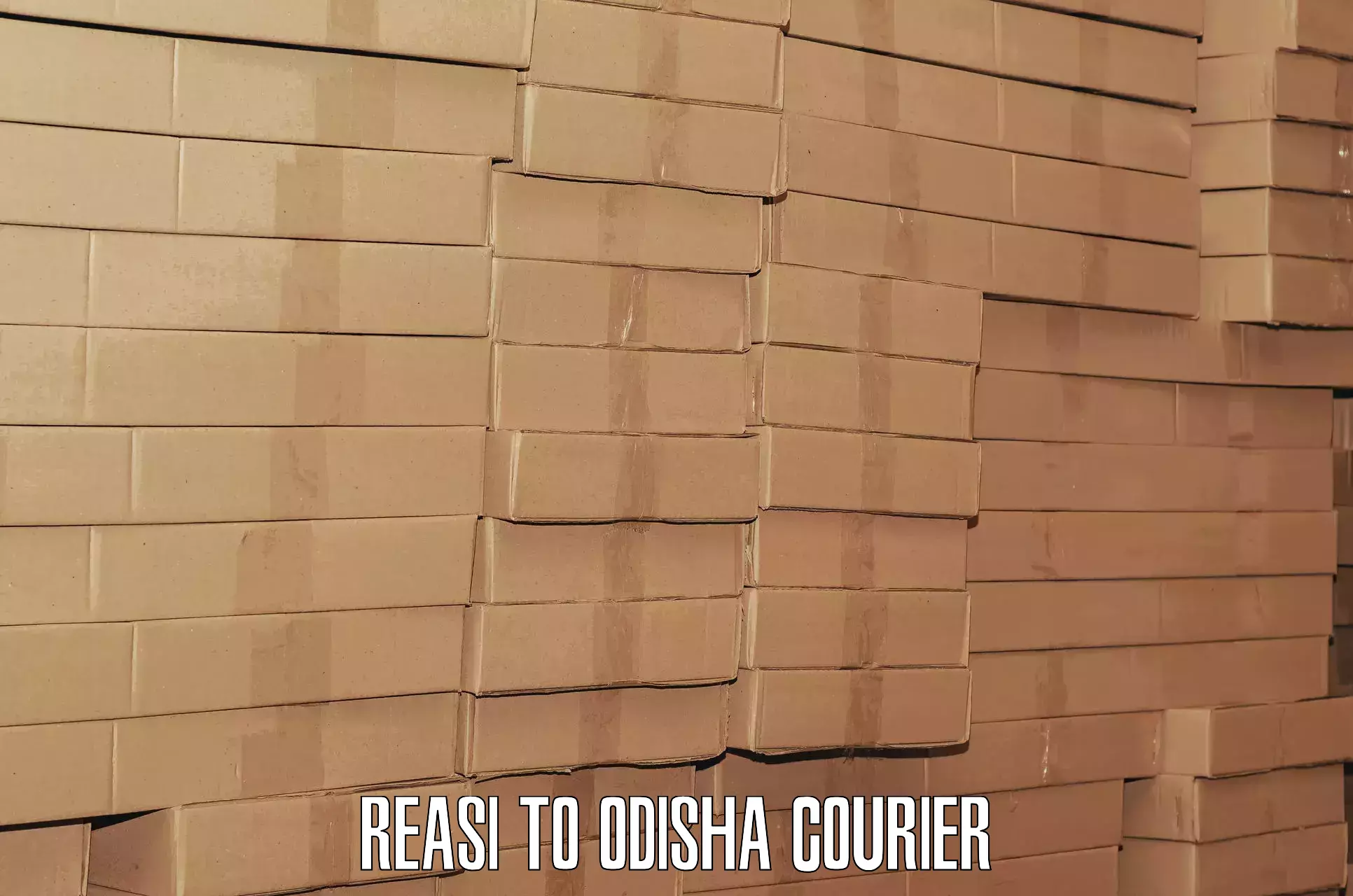 Baggage delivery estimate Reasi to Odisha