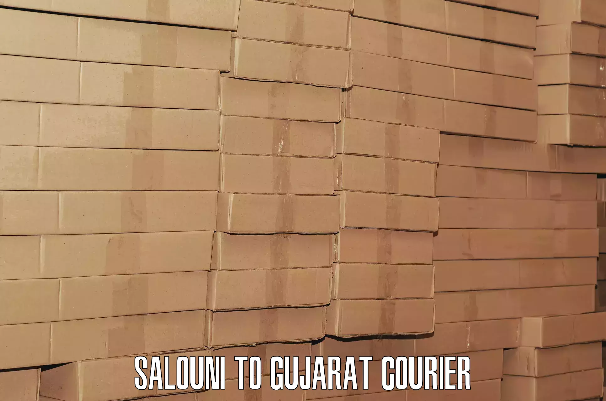 Airport luggage delivery in Salouni to Gujarat