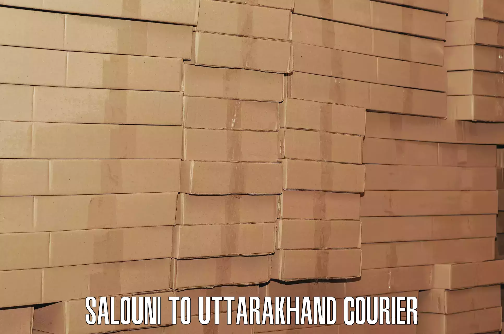 Advanced baggage shipping Salouni to Ranikhet
