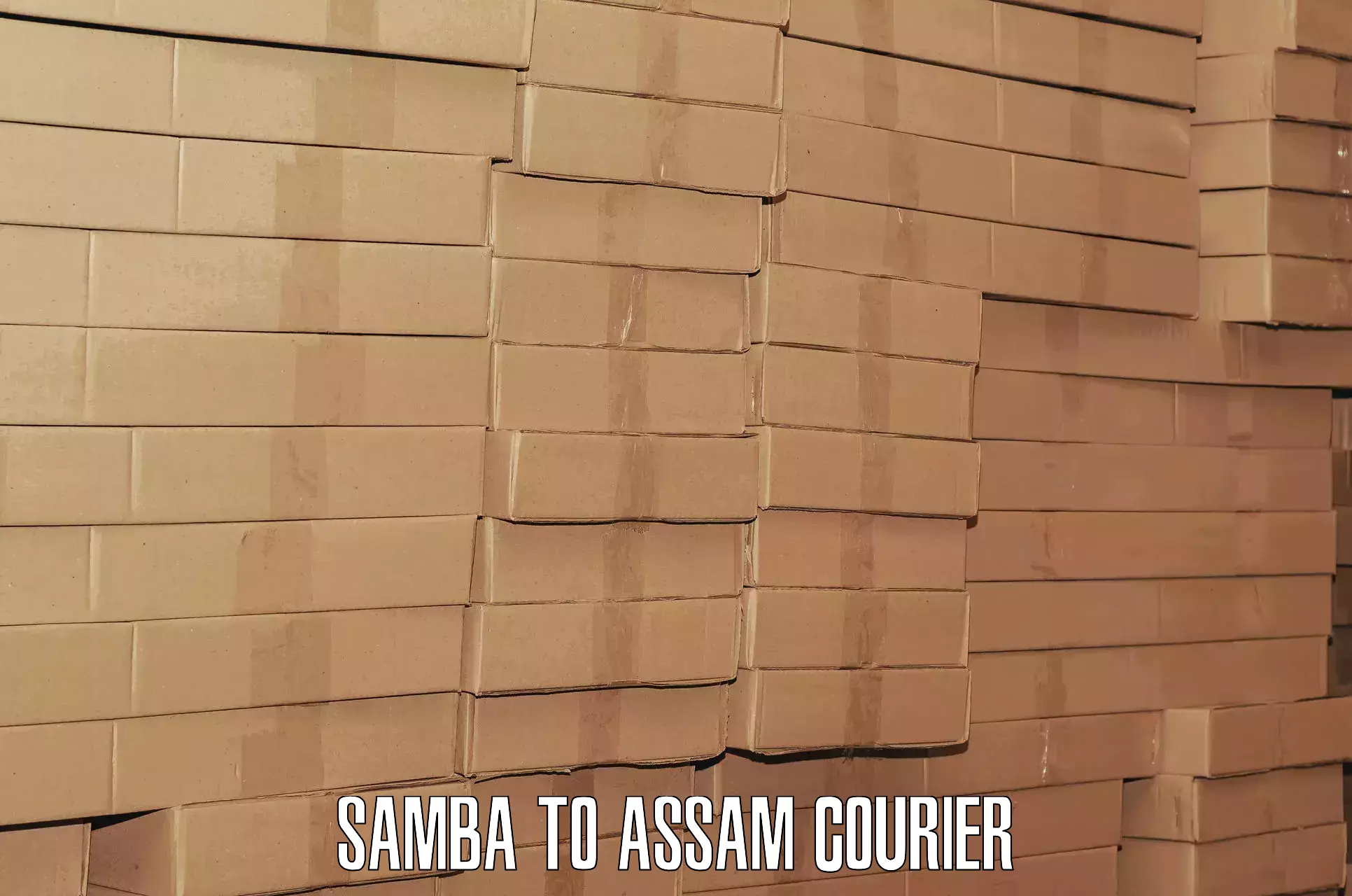 Heavy luggage shipping Samba to Assam