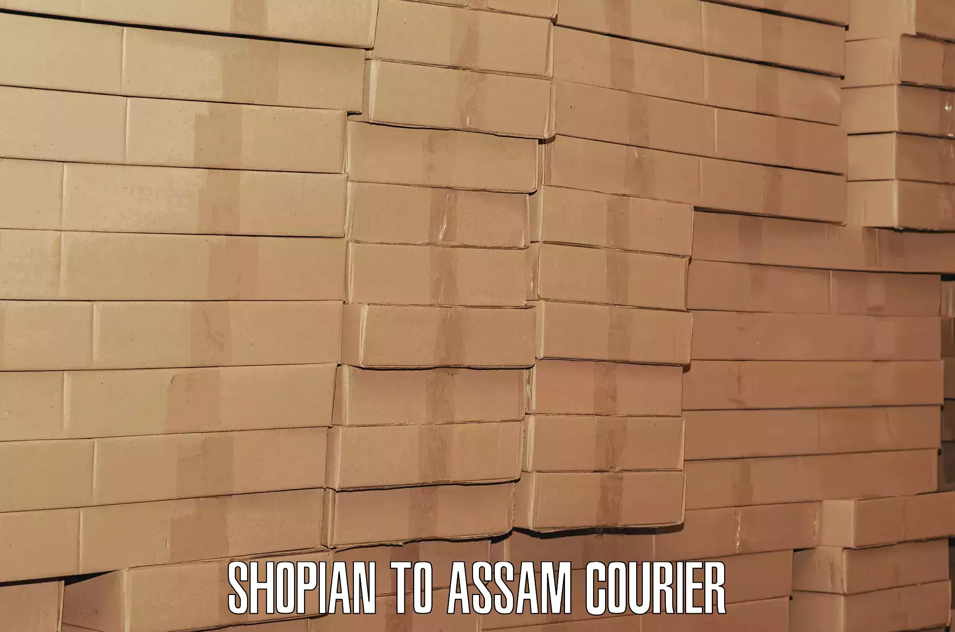 Baggage courier insights Shopian to Nagaon