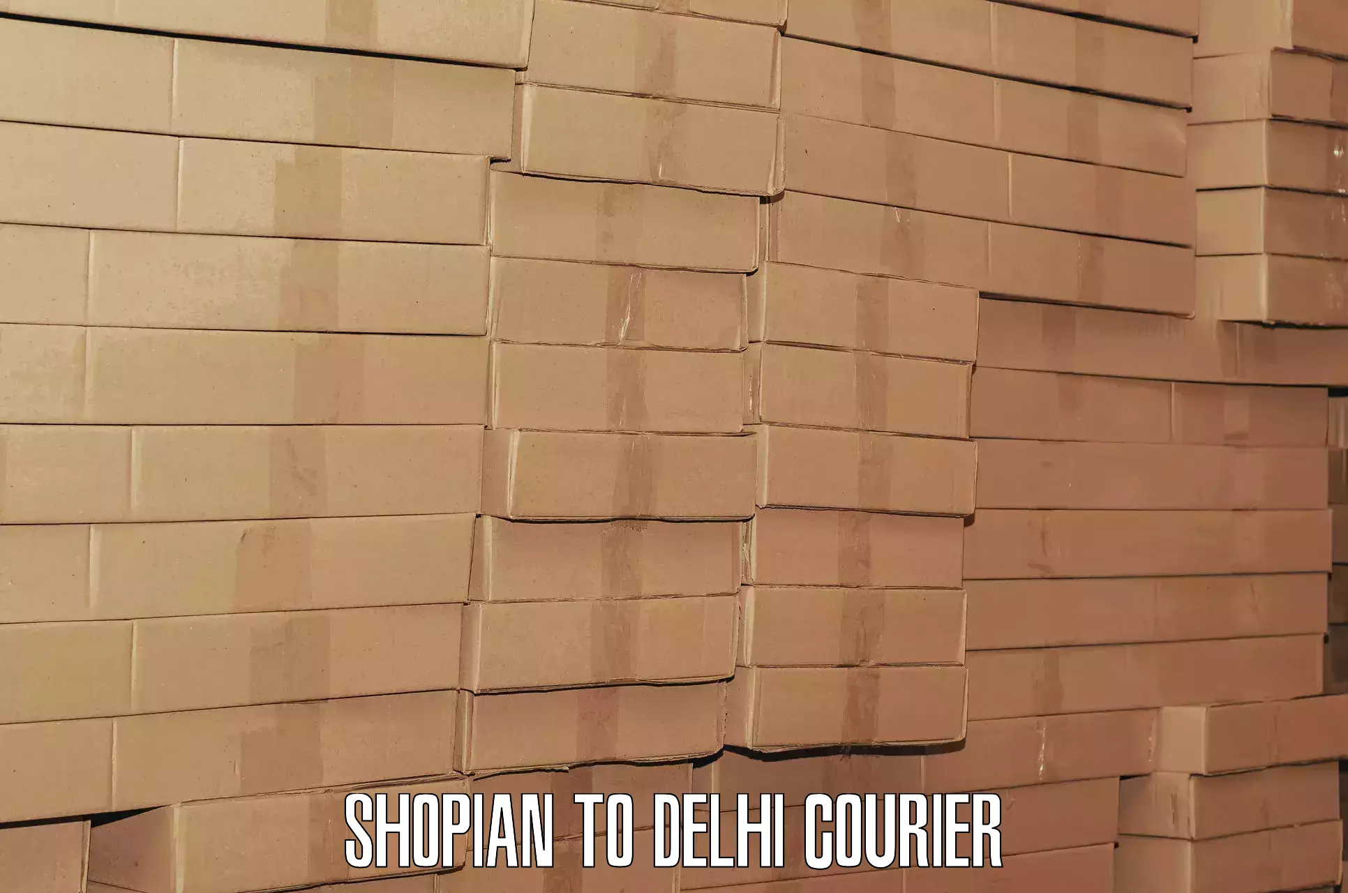 Baggage shipping experts Shopian to Delhi Technological University DTU