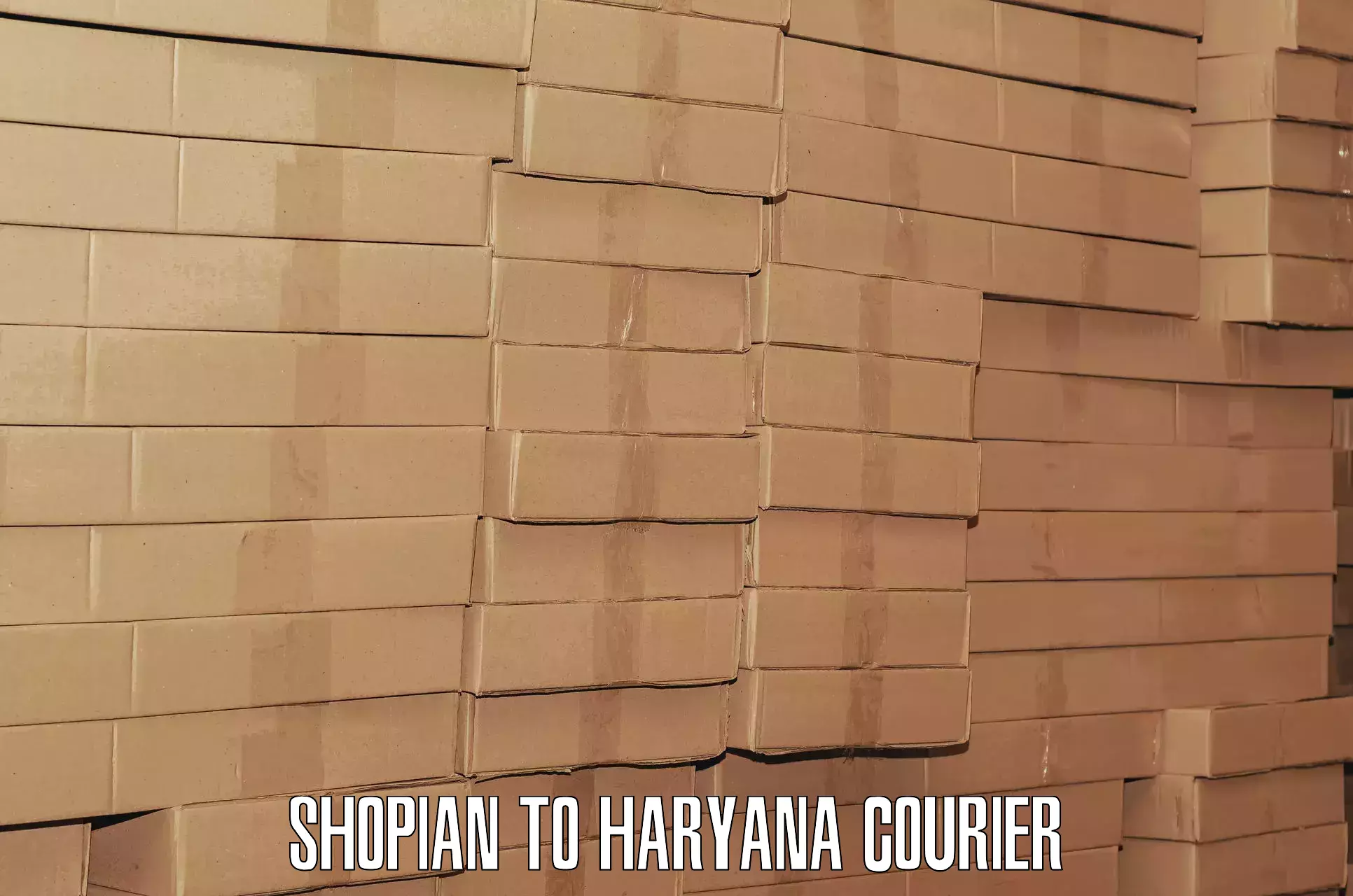 Baggage delivery technology Shopian to Haryana