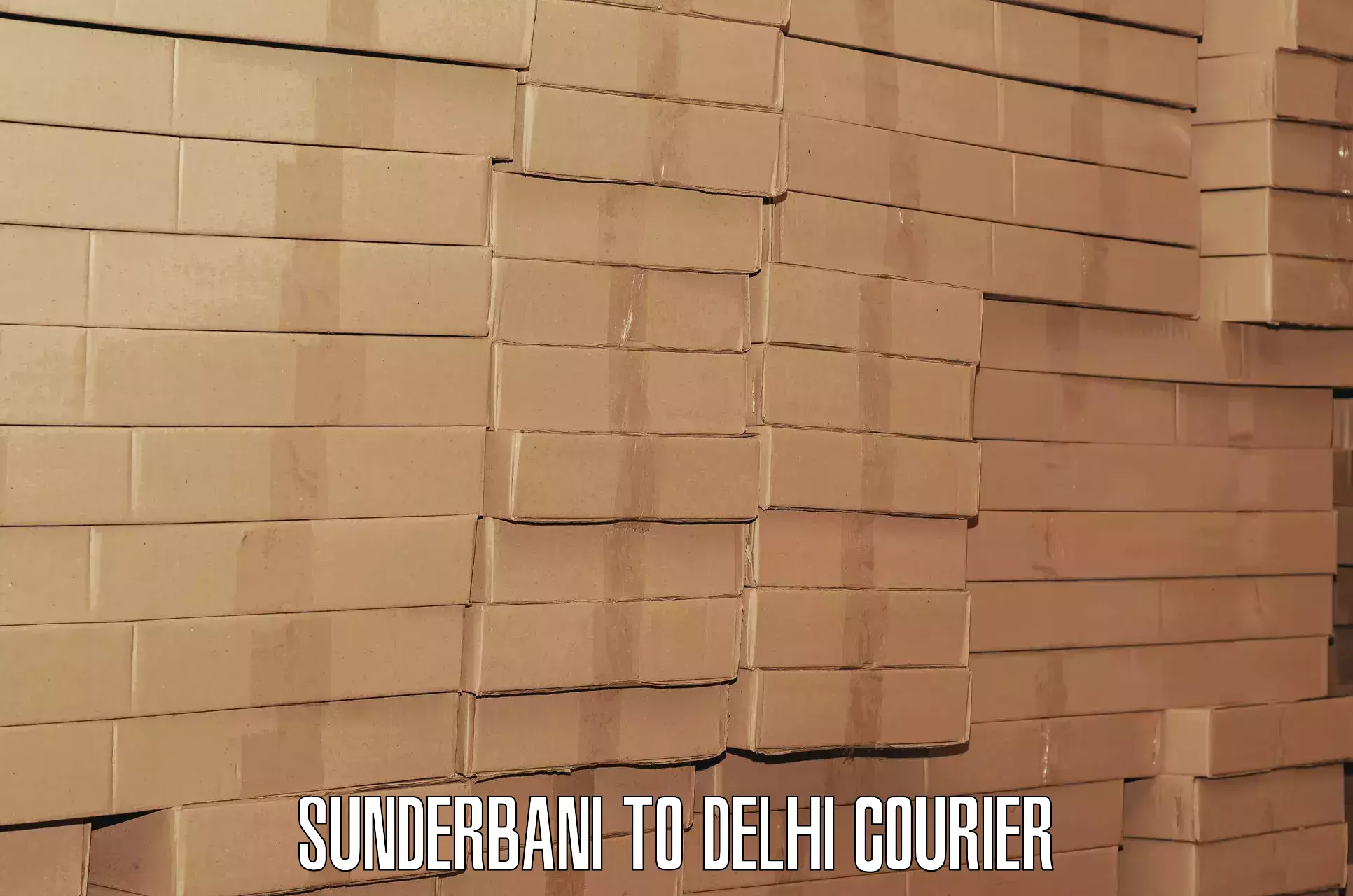 Short distance baggage courier Sunderbani to Jamia Millia Islamia New Delhi