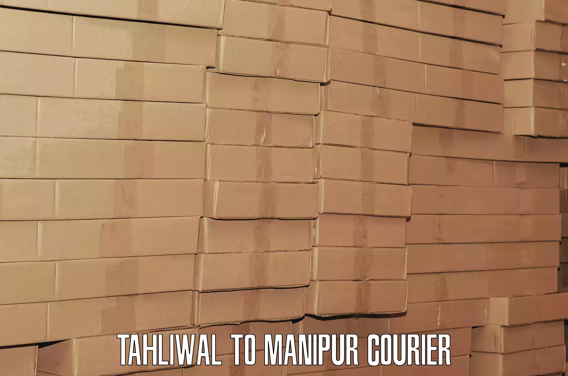 Luggage delivery logistics Tahliwal to Churachandpur