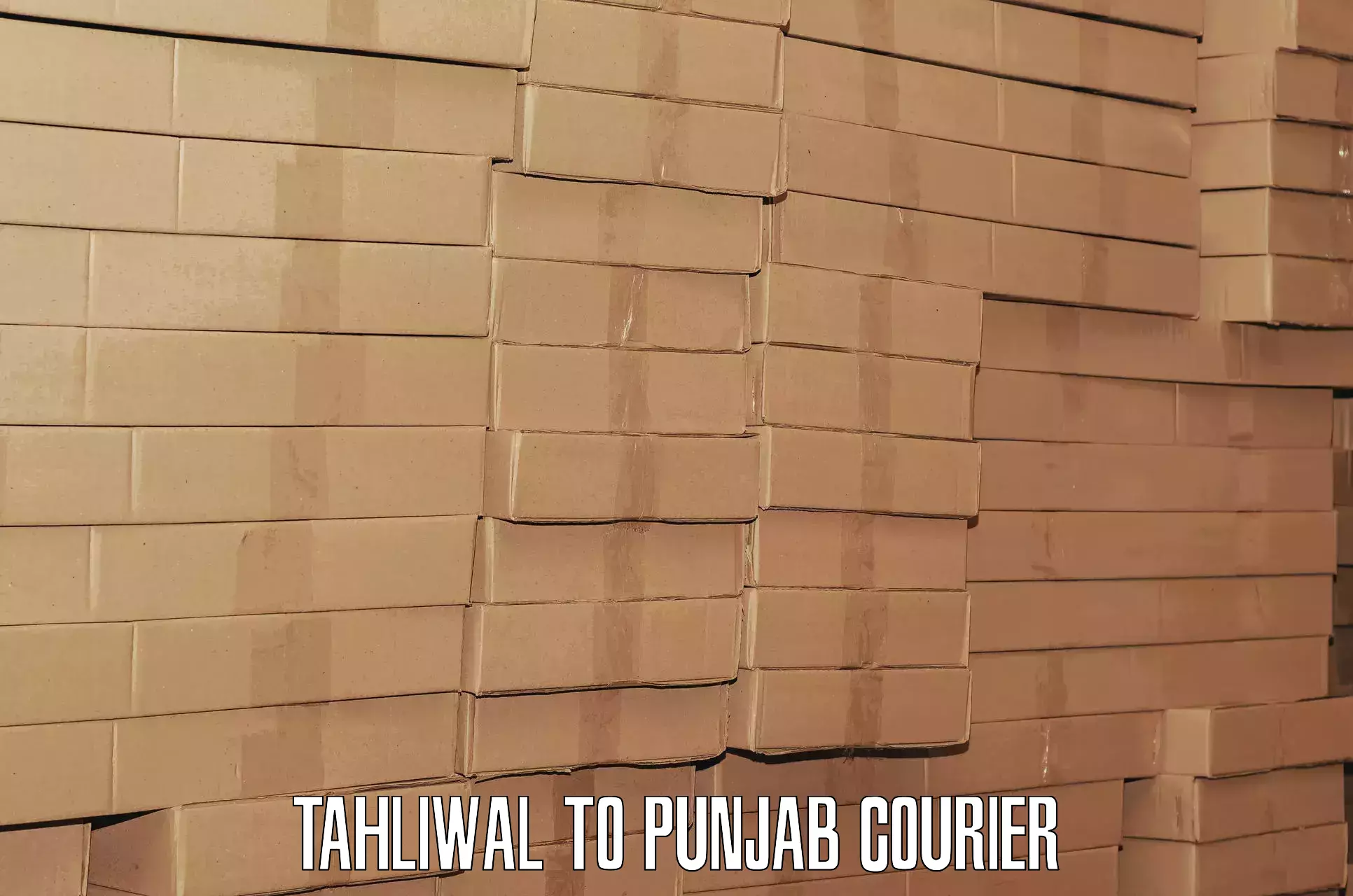 Emergency baggage service Tahliwal to Punjab