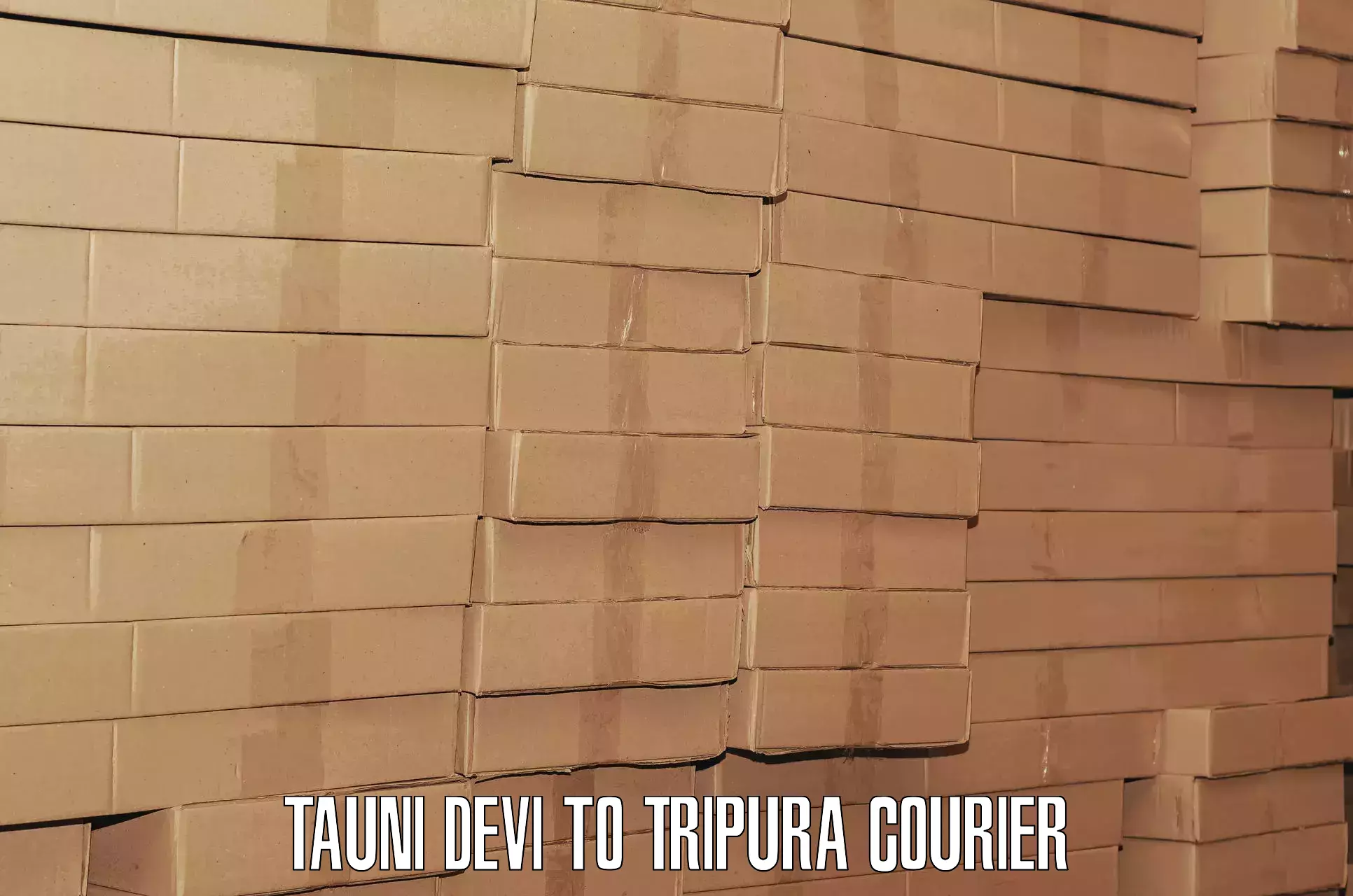 Weekend baggage shipping Tauni Devi to Dhalai
