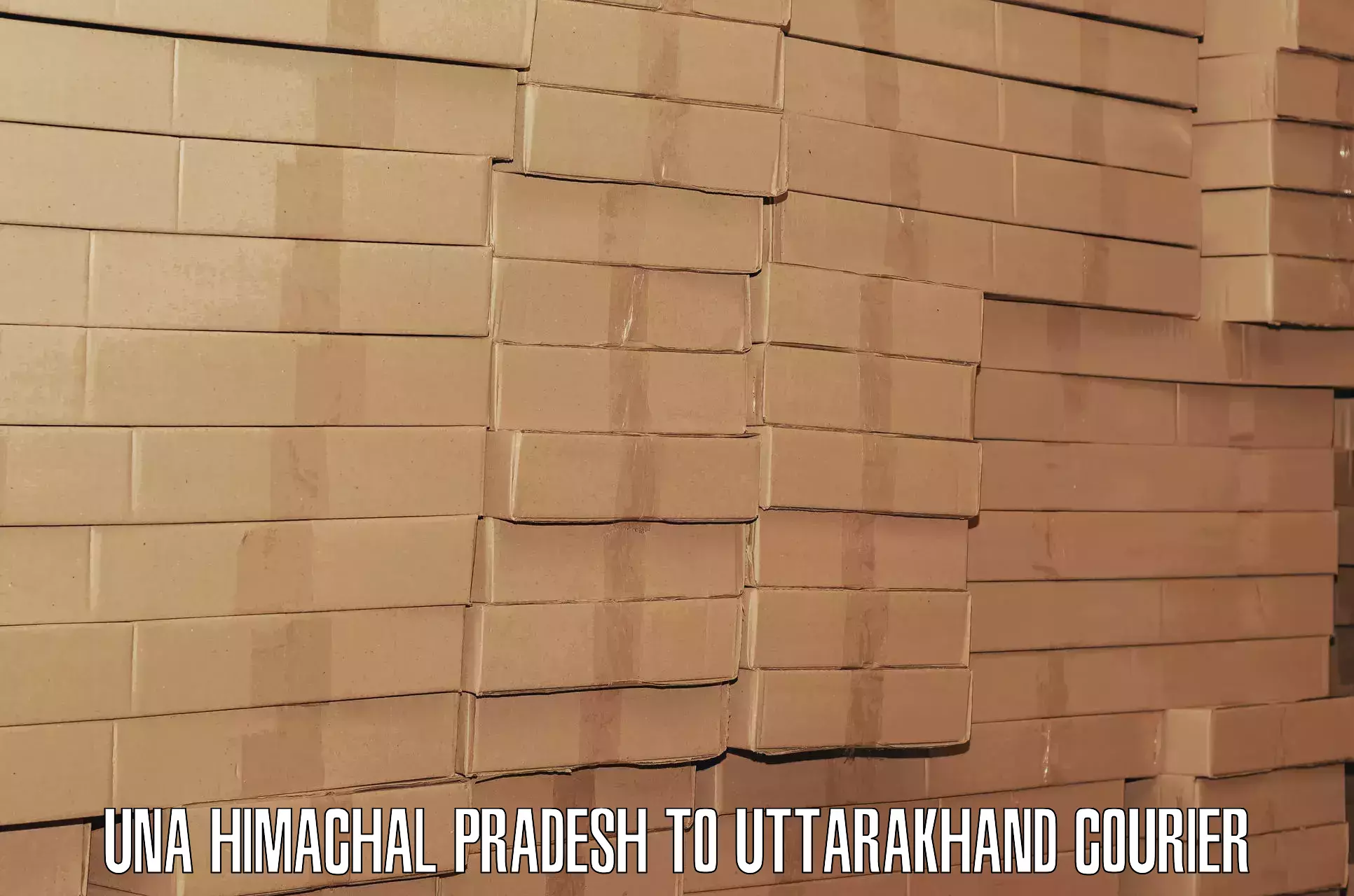 Urban luggage shipping in Una Himachal Pradesh to Udham Singh Nagar