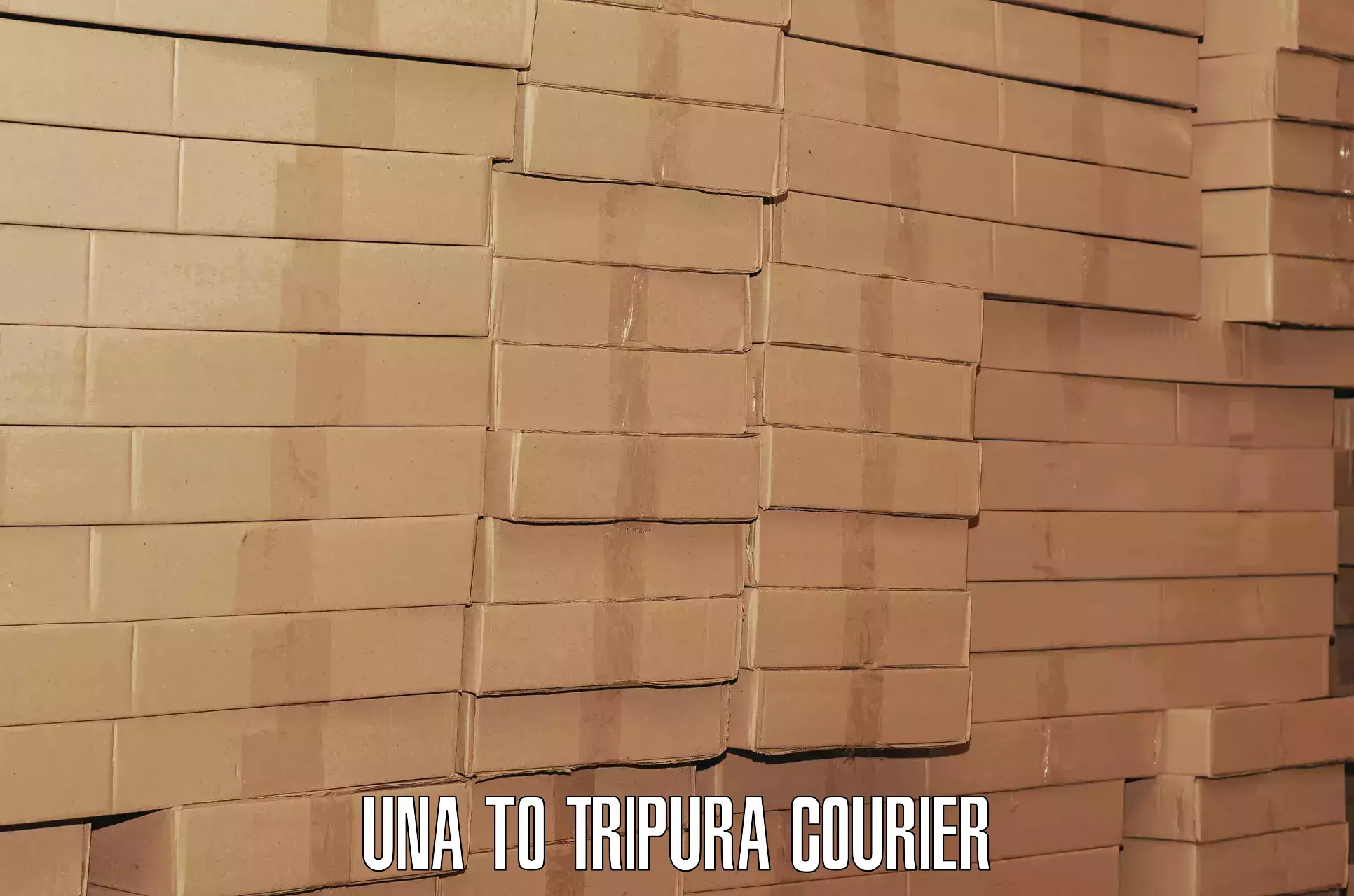 Quick luggage shipment Una to Udaipur Tripura