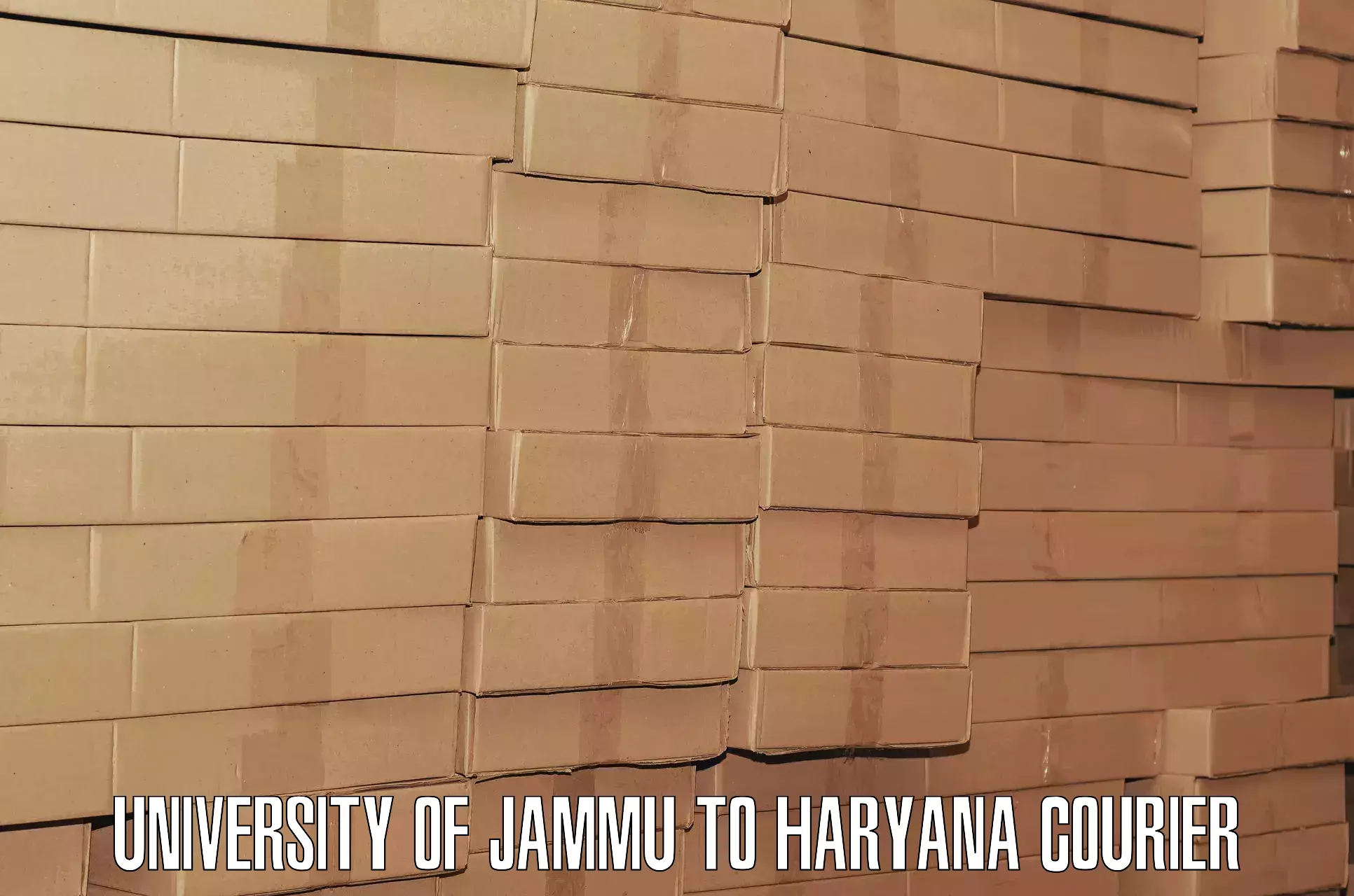 Luggage courier logistics University of Jammu to Ambala