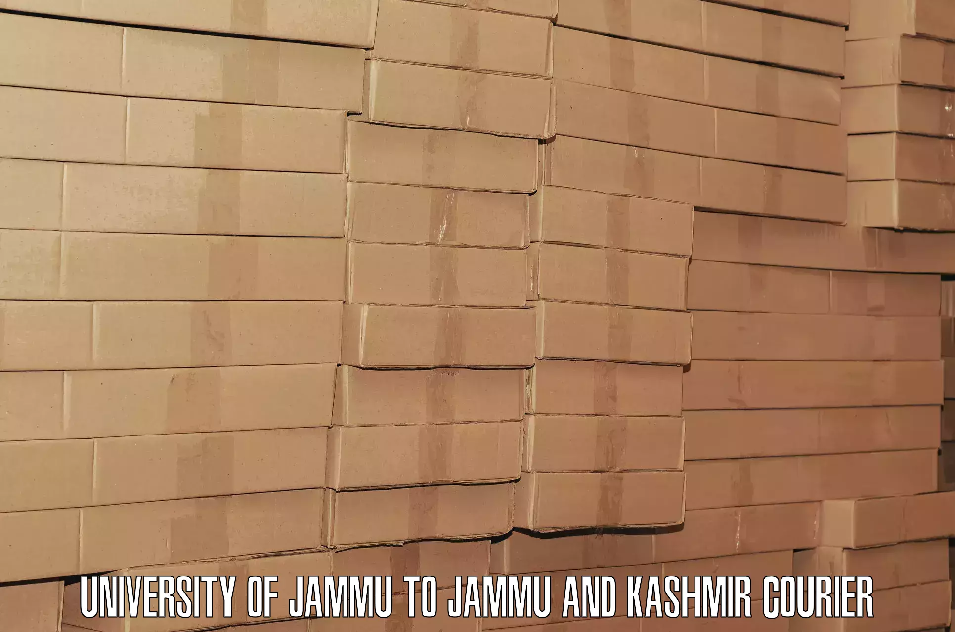 Efficient baggage courier system University of Jammu to Ramban