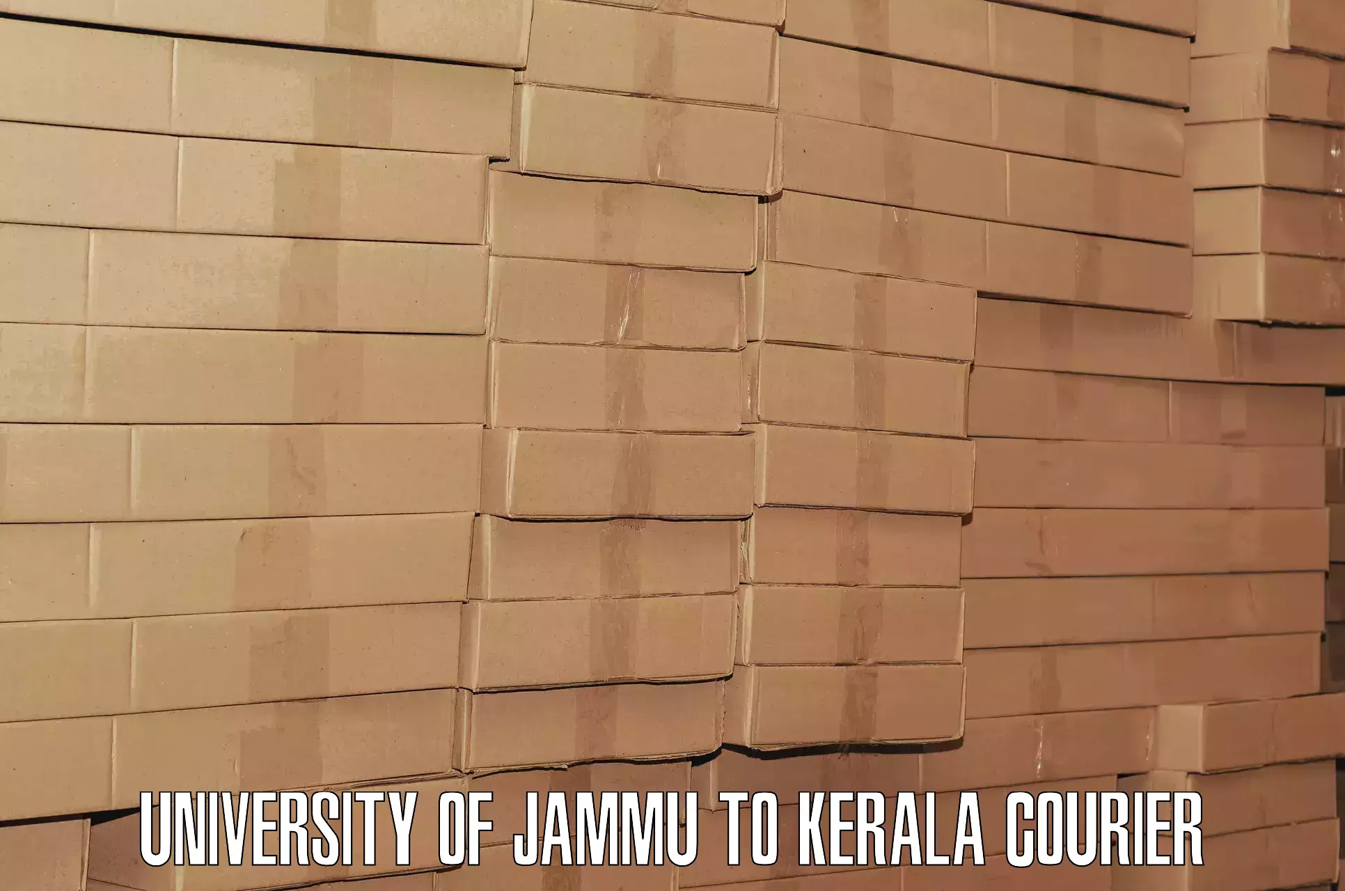 Electronic items luggage shipping University of Jammu to Ranni