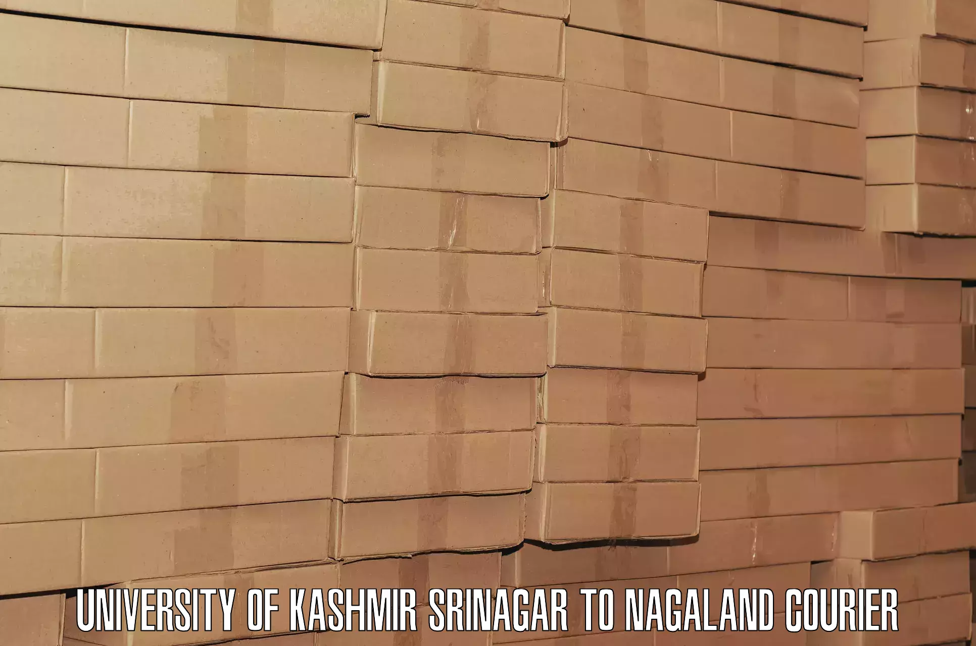 Baggage delivery technology University of Kashmir Srinagar to Longleng