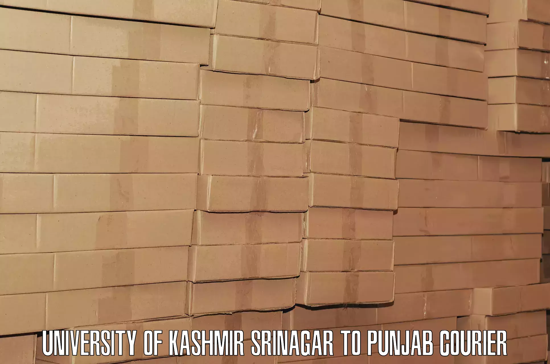 Luggage shipping planner University of Kashmir Srinagar to Central University of Punjab Bathinda