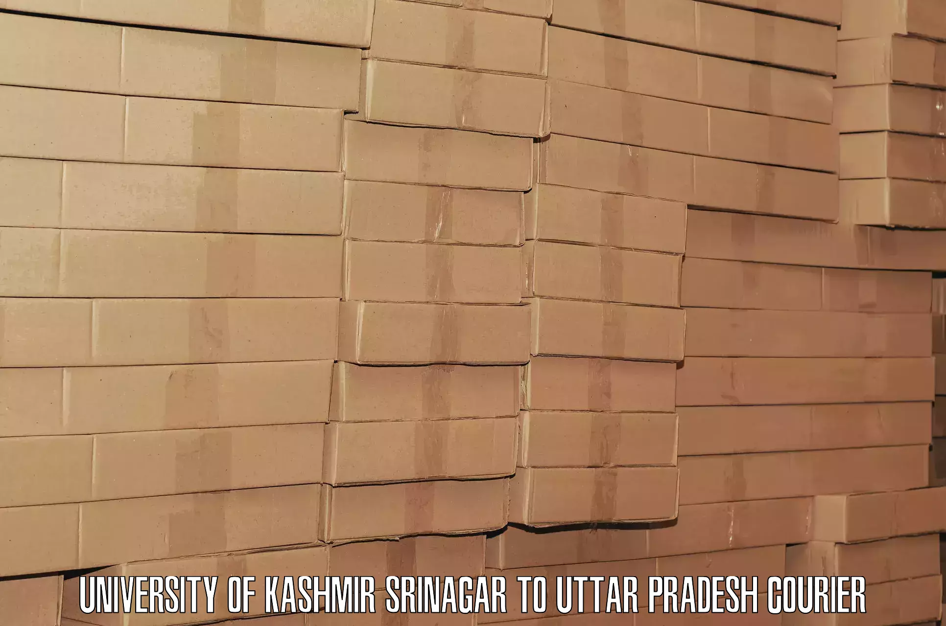 Hotel to Door baggage transport University of Kashmir Srinagar to Unchahar