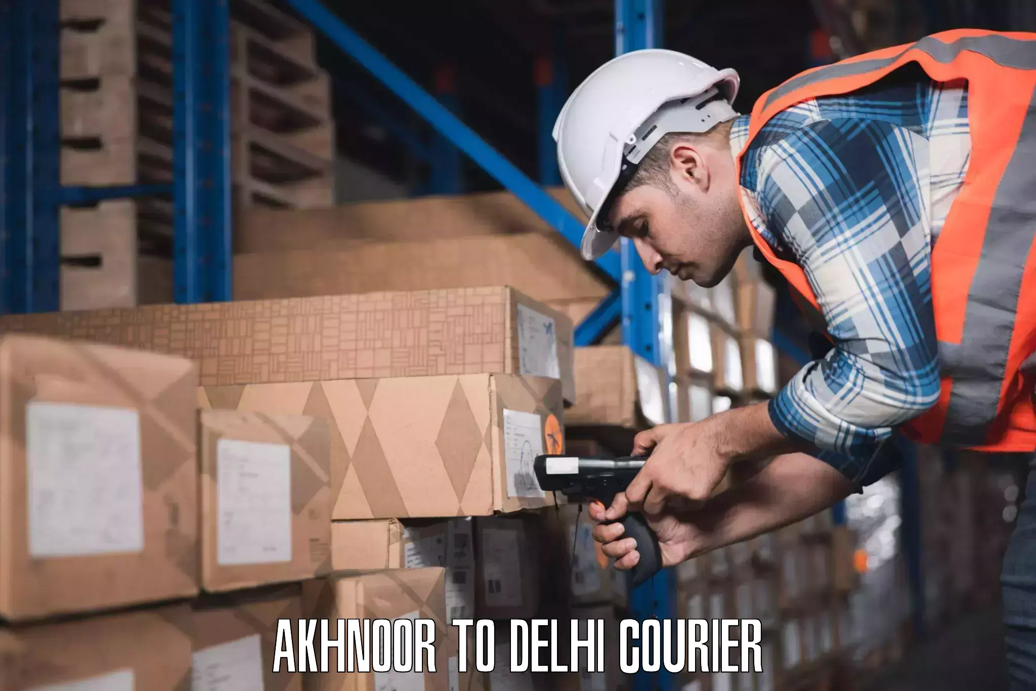 Luggage delivery optimization Akhnoor to Naraina Industrial Estate