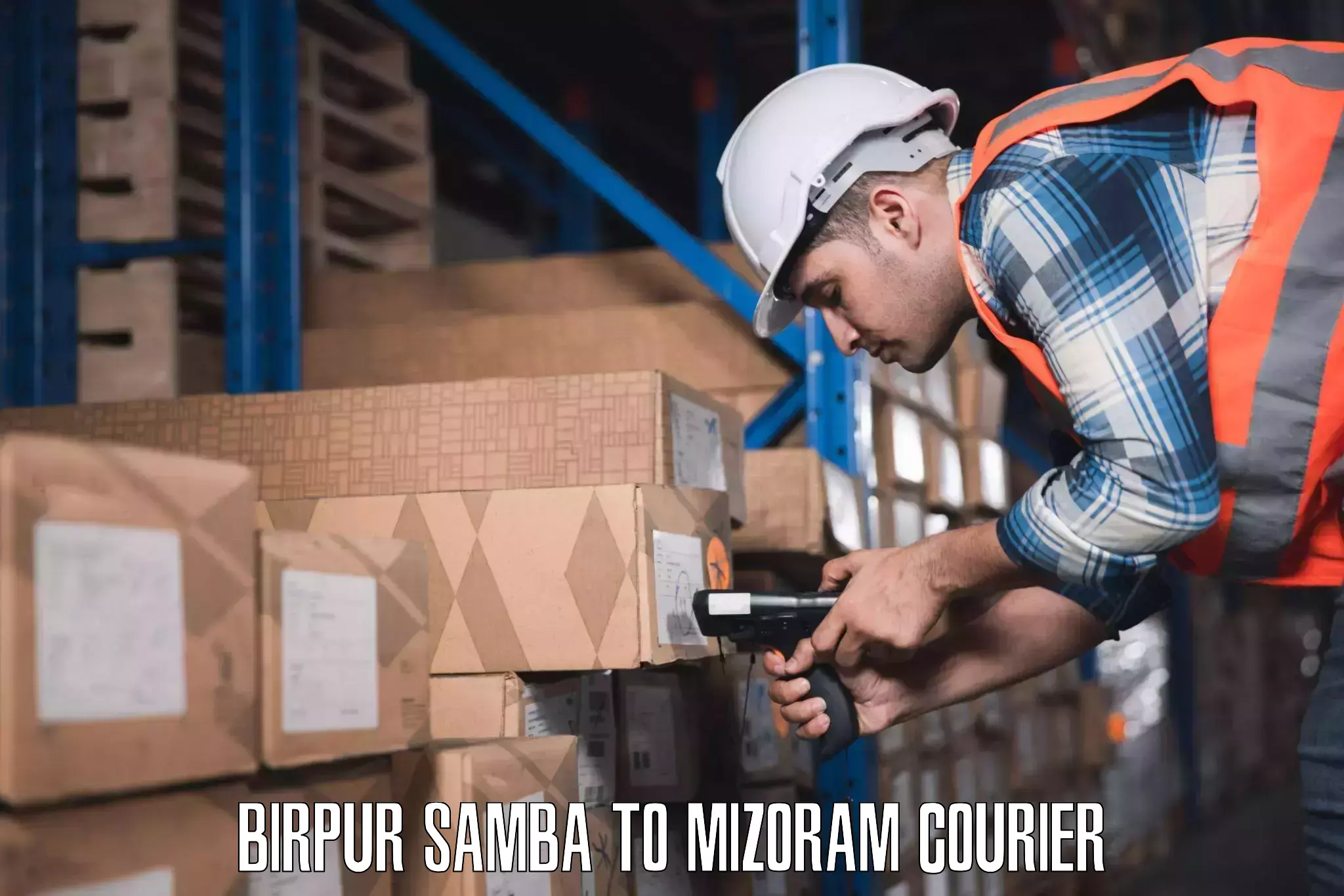 Luggage delivery providers Birpur Samba to Thenzawl