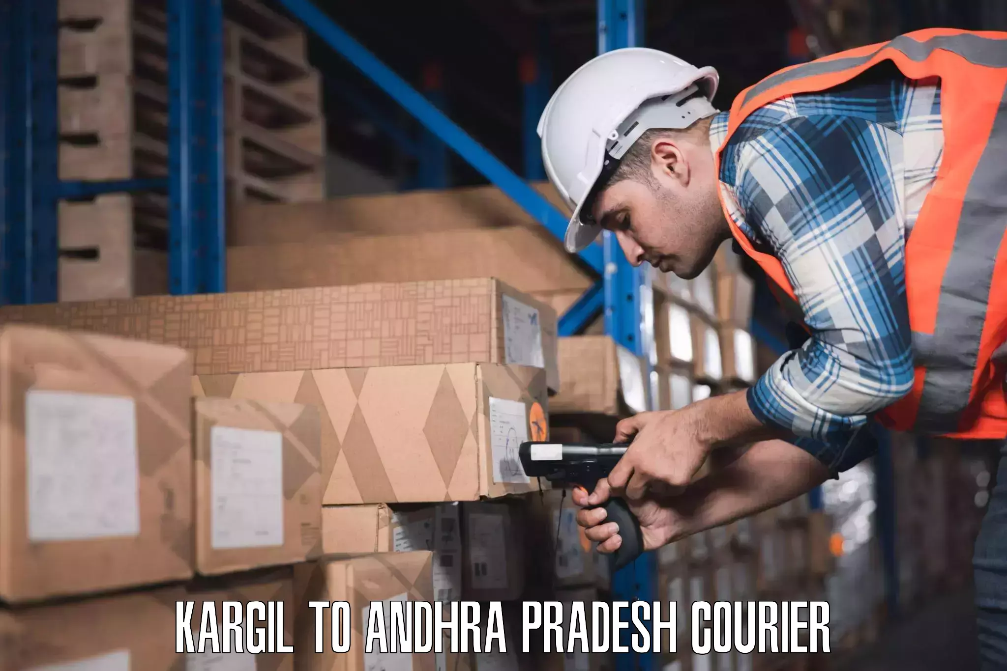 Luggage shipment processing Kargil to Mantada