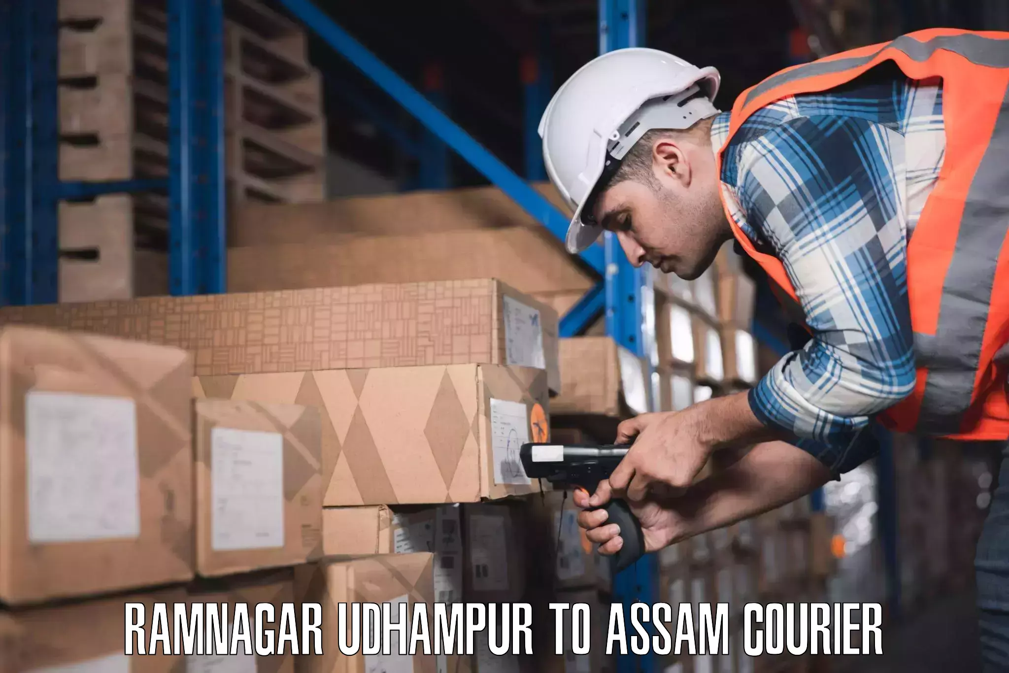 Luggage courier rates calculator Ramnagar Udhampur to Badarpur Karimganj