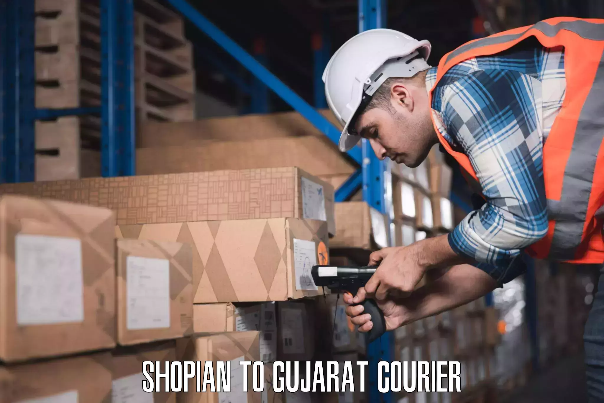 Luggage transport consultancy Shopian to Gujarat