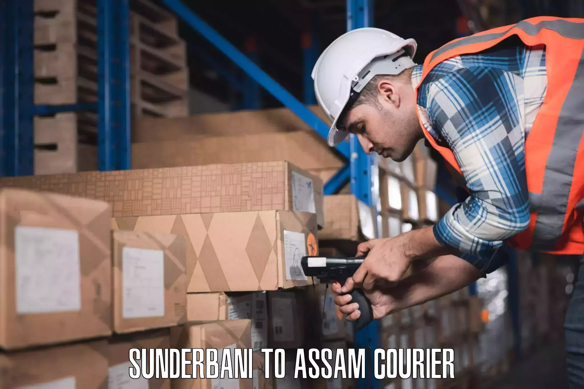 Same day luggage service Sunderbani to Assam