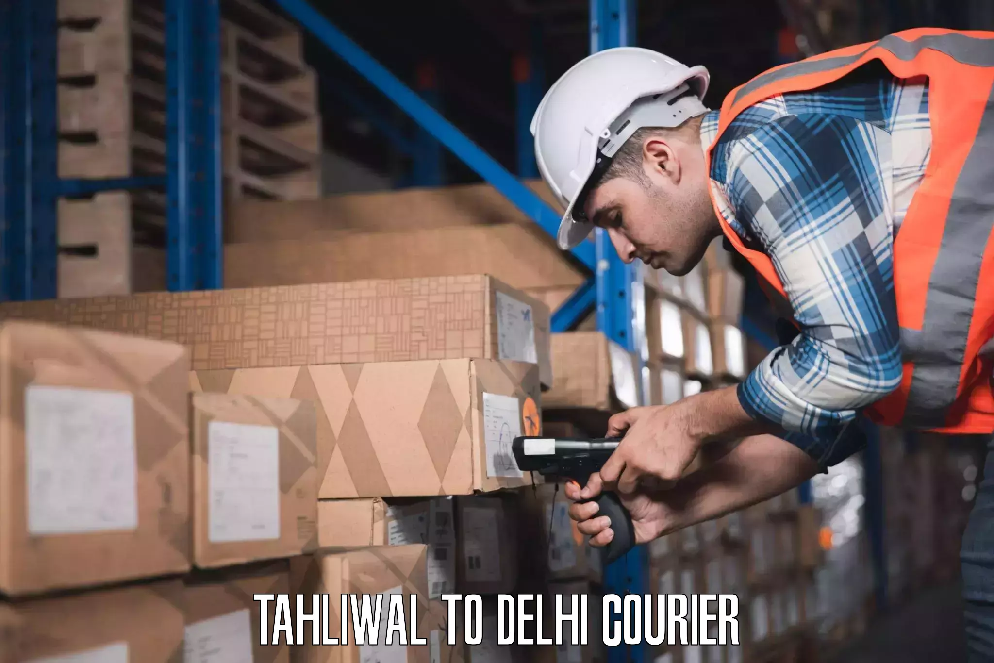 Immediate baggage courier Tahliwal to Naraina Industrial Estate