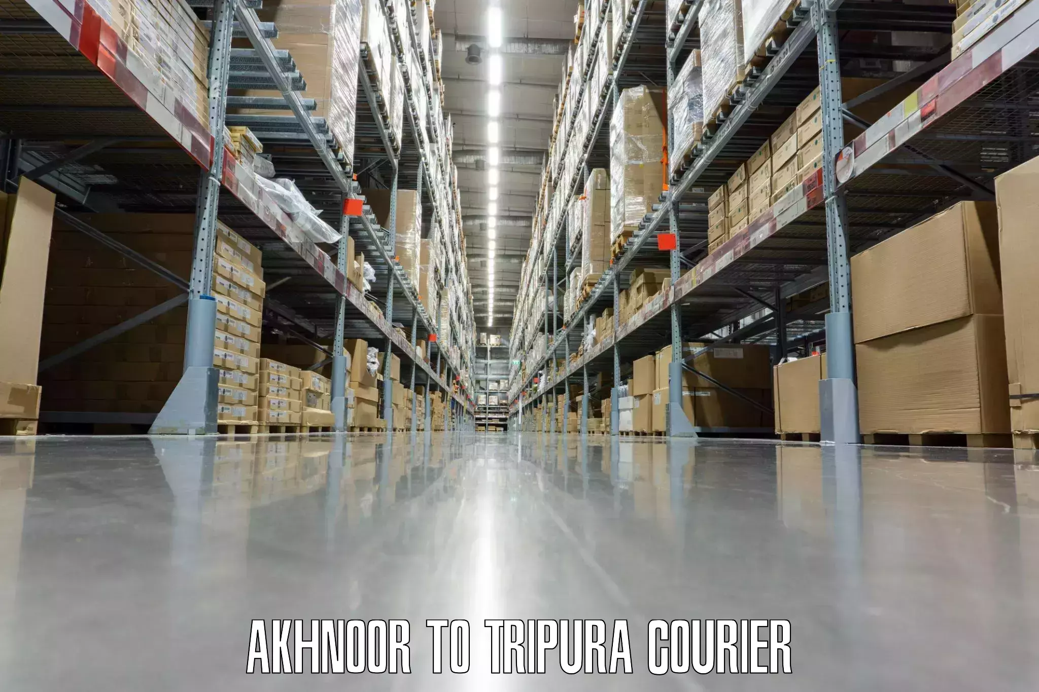 Luggage courier logistics Akhnoor to Udaipur Tripura