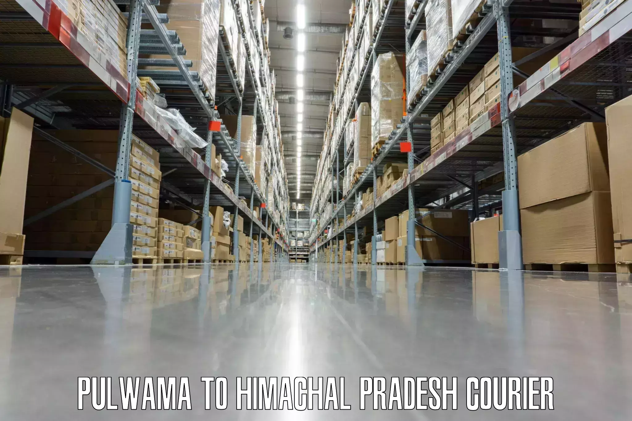 Online luggage shipping booking Pulwama to Jaisinghpur