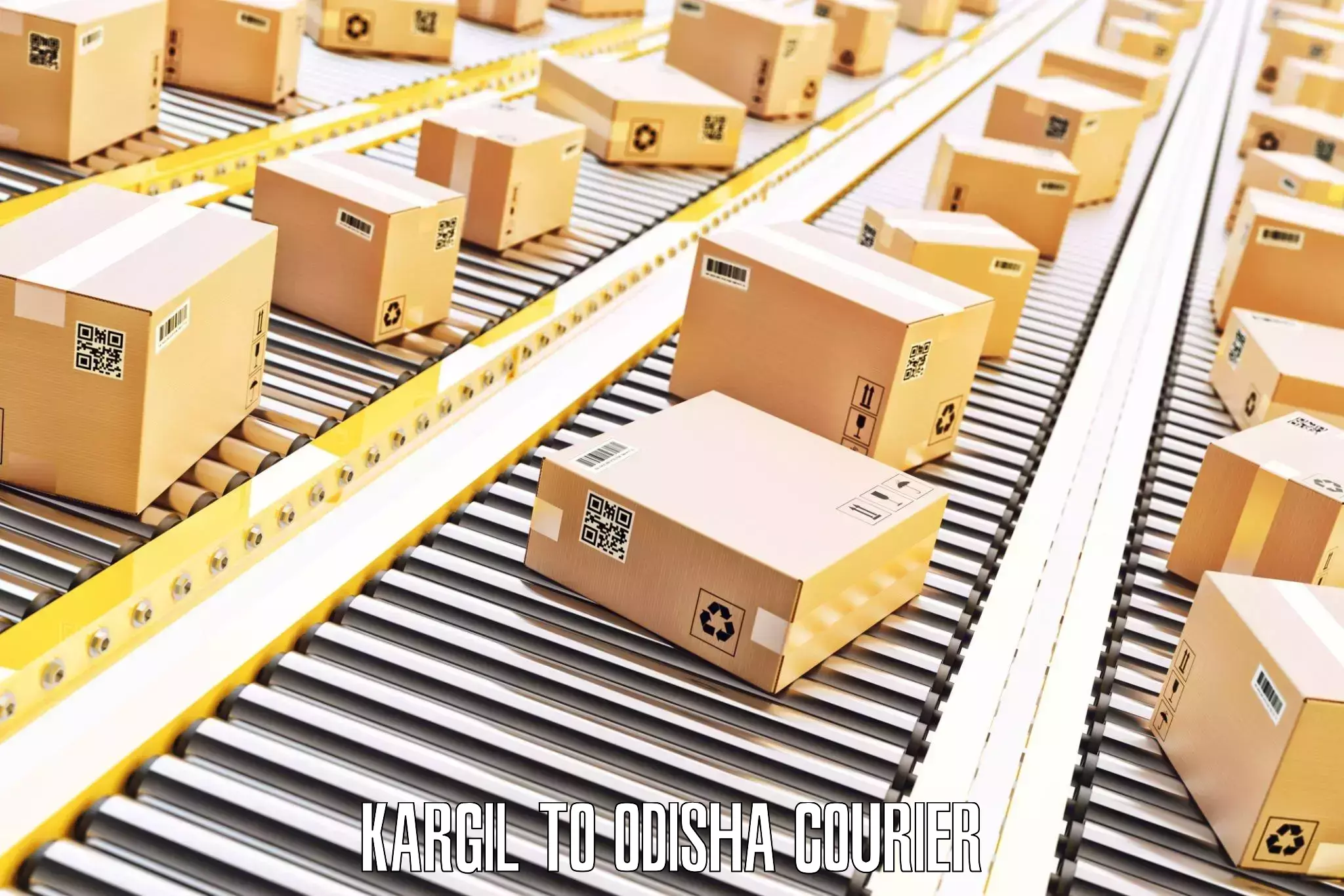 Trackable baggage shipping Kargil to Bissam Cuttack