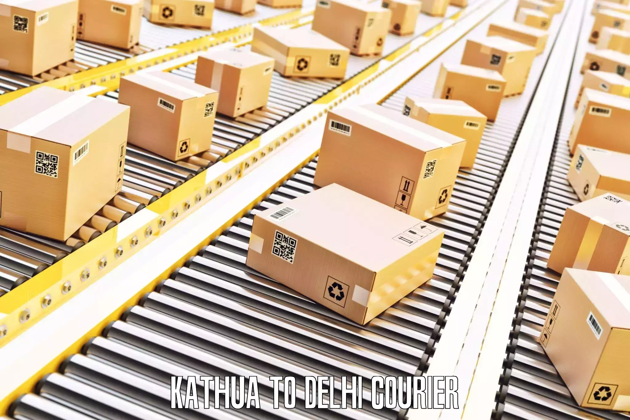 Efficient baggage transport Kathua to Naraina Industrial Estate