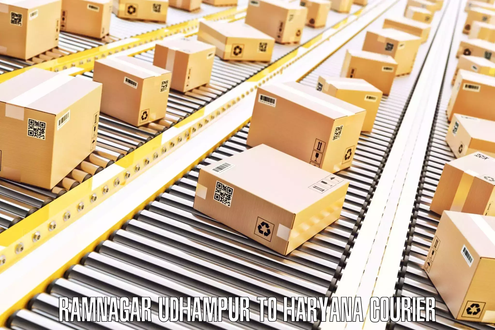 Luggage transport pricing Ramnagar Udhampur to Haryana