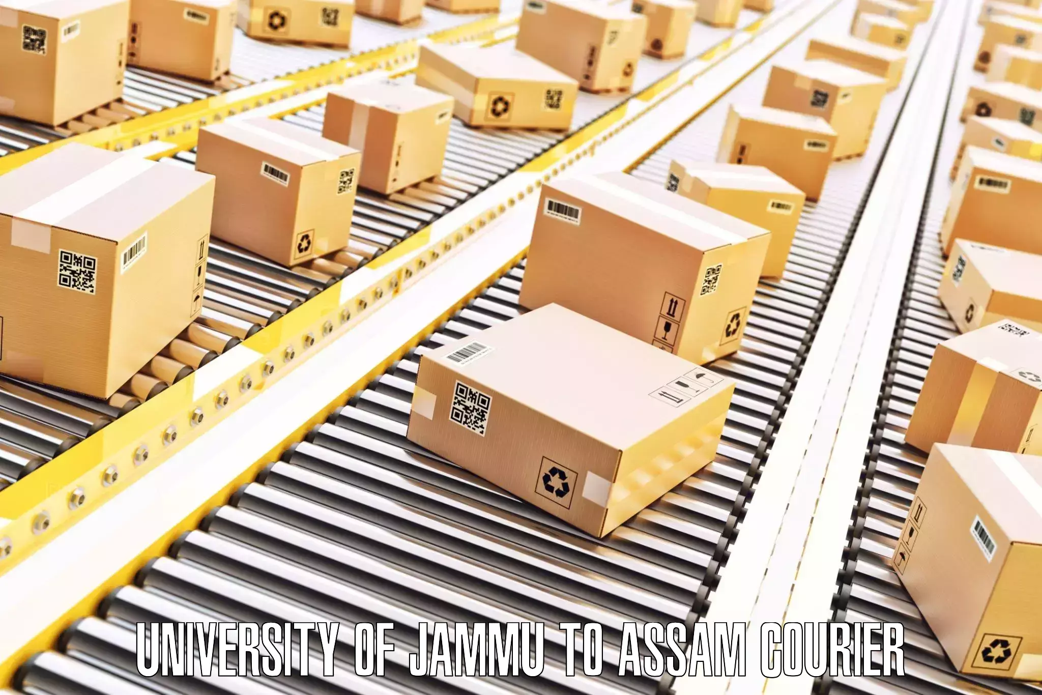 Luggage shipment strategy University of Jammu to Kalain
