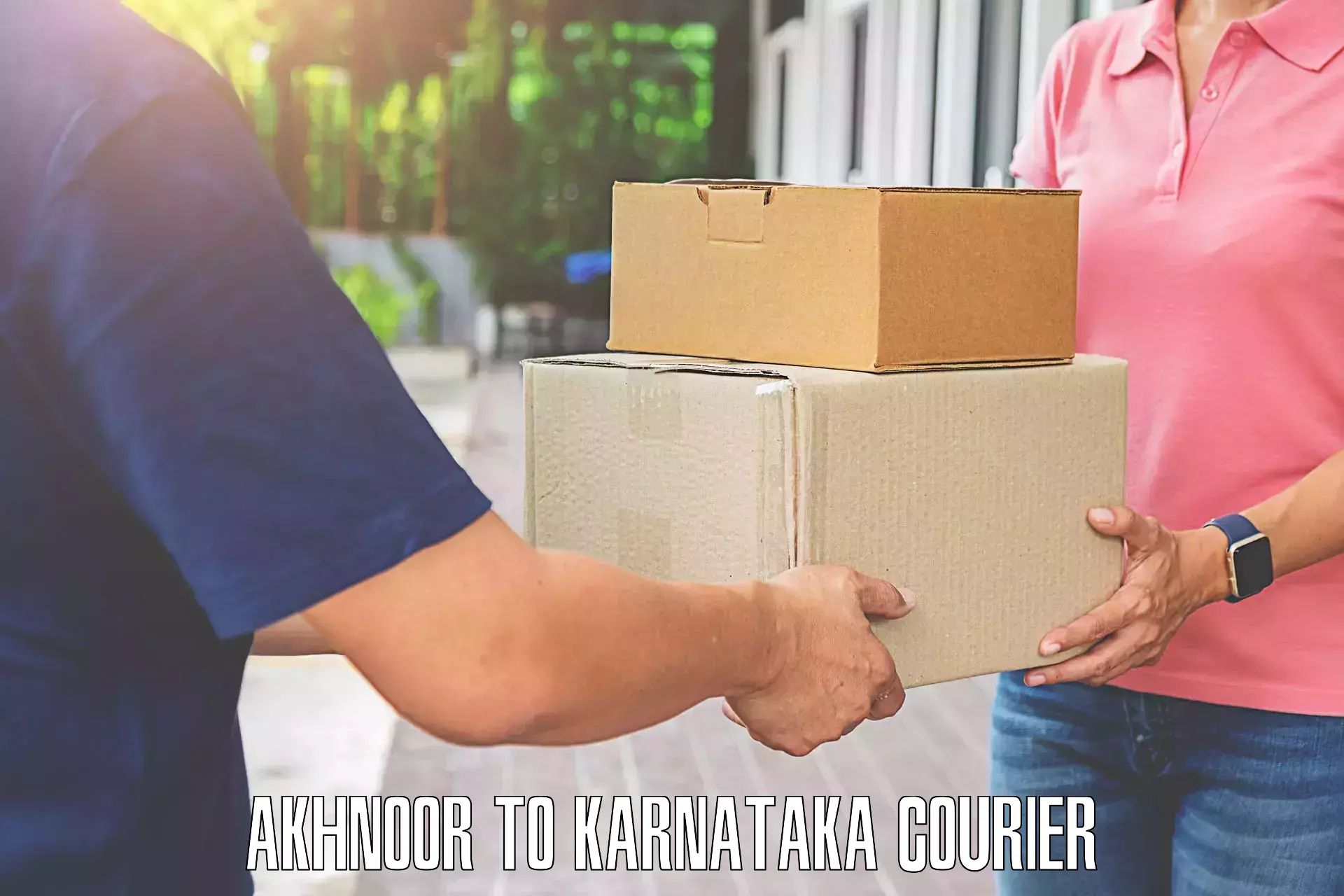 Luggage courier planning Akhnoor to Haliyal