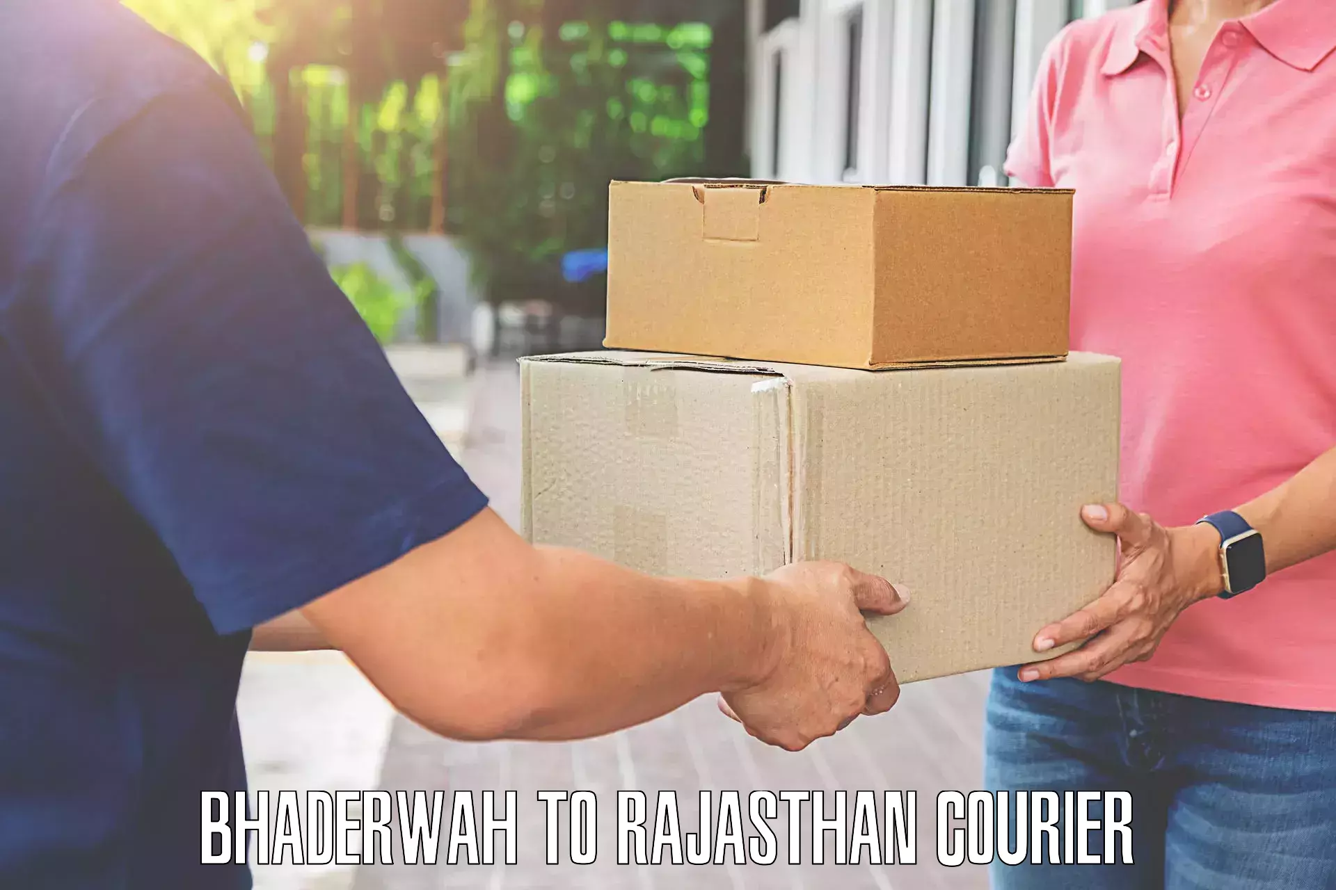 Baggage courier logistics Bhaderwah to Malpura