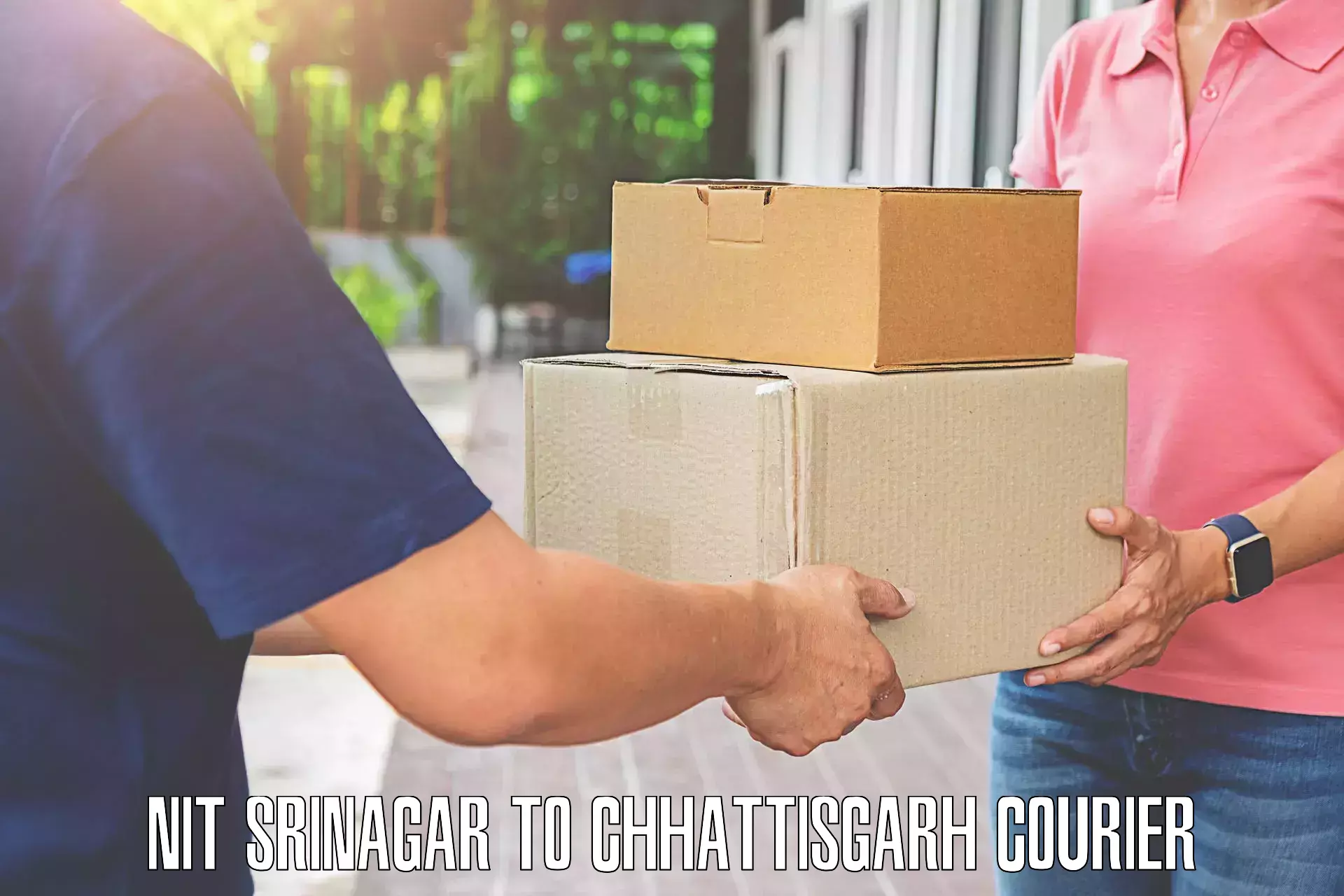 Holiday season luggage delivery in NIT Srinagar to Chhattisgarh