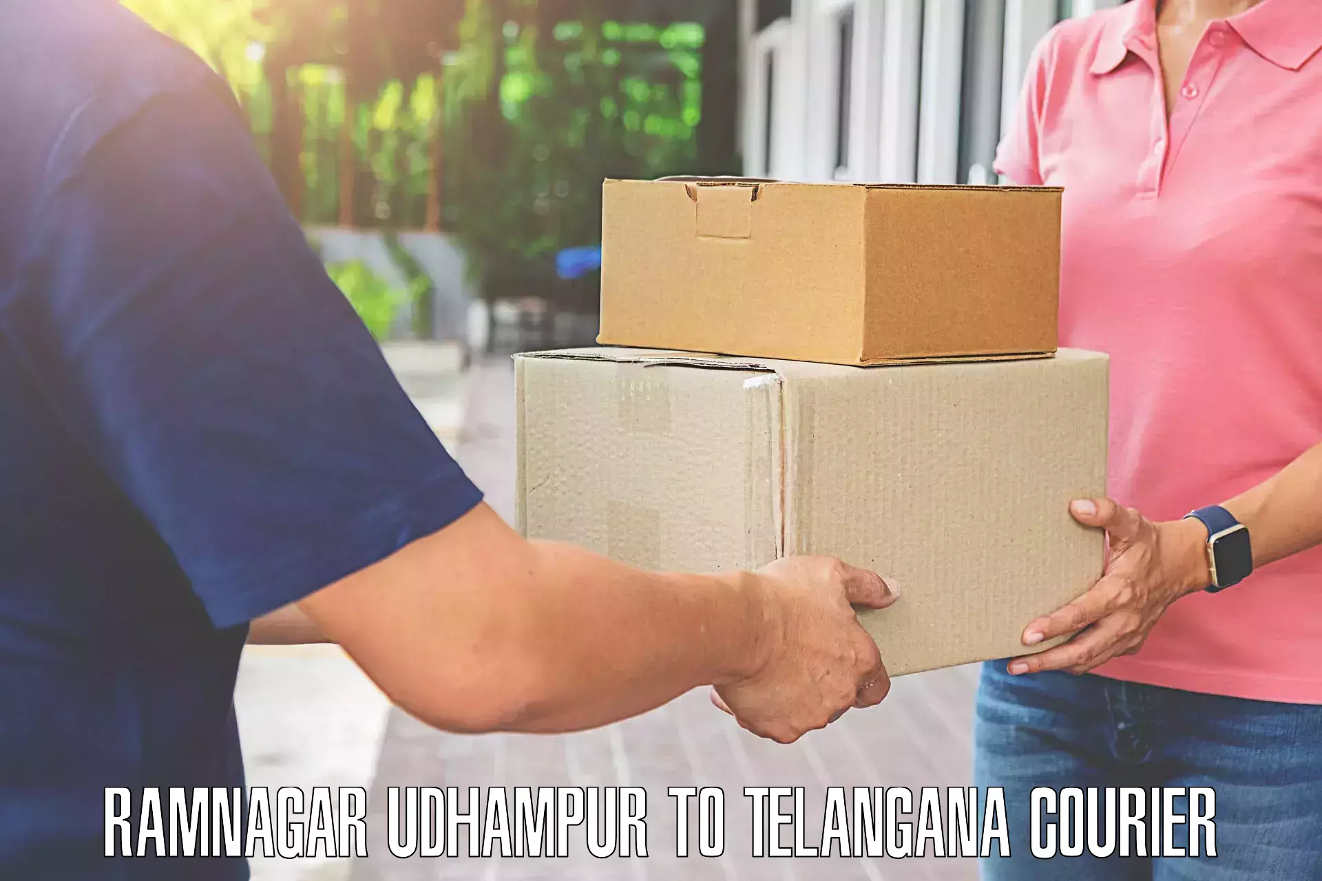 Baggage shipping logistics Ramnagar Udhampur to Sikanderguda