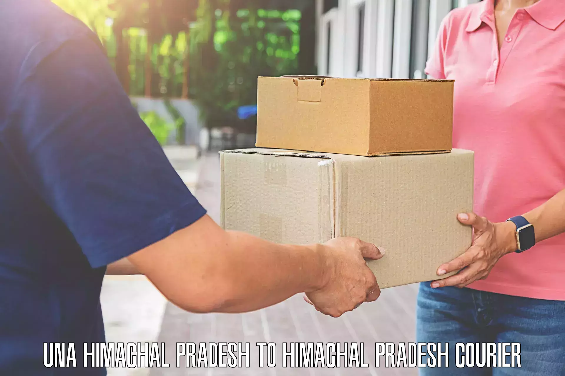 Reliable luggage courier Una Himachal Pradesh to Chopal