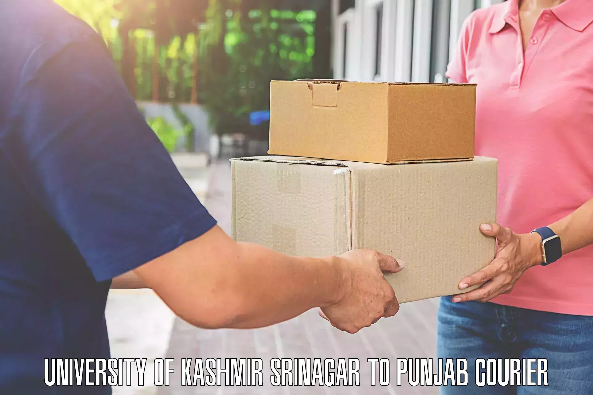 Luggage delivery operations University of Kashmir Srinagar to Bathinda
